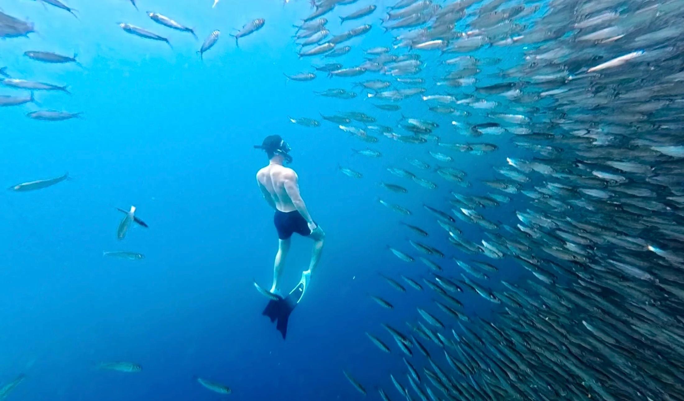 Cebu: Kawasan Canyoneering, Sardine Run & Turtle Encounter
