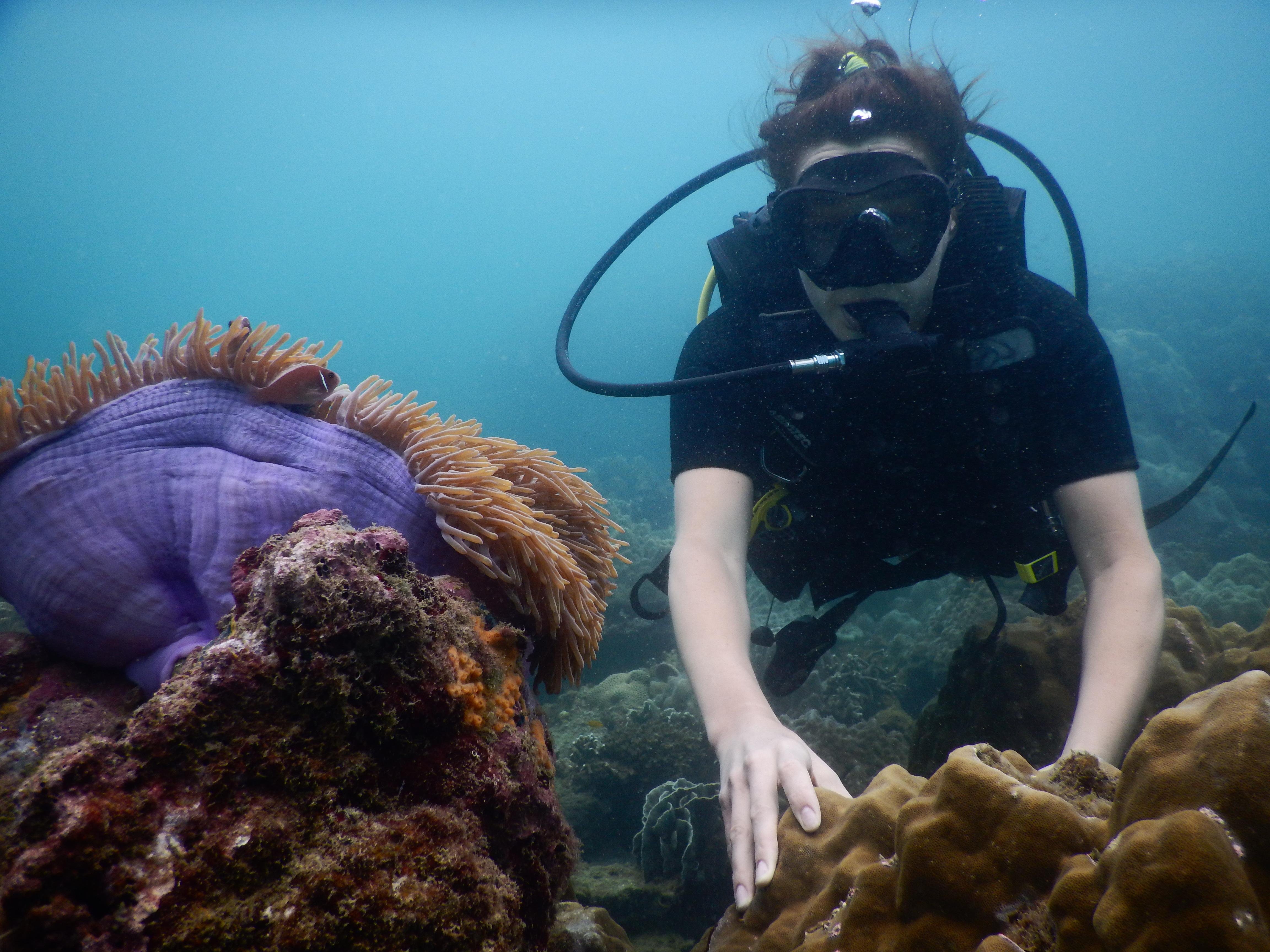 Phu Quoc Marine Conservation & Scuba Diving Experience