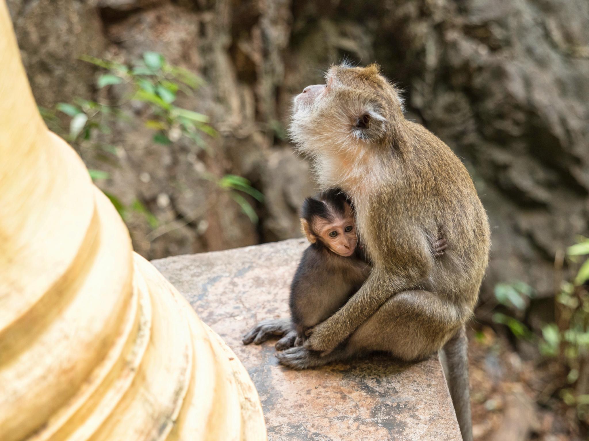 Krabi to James Bond Island & Phang Nga Bay by Longtail Boat