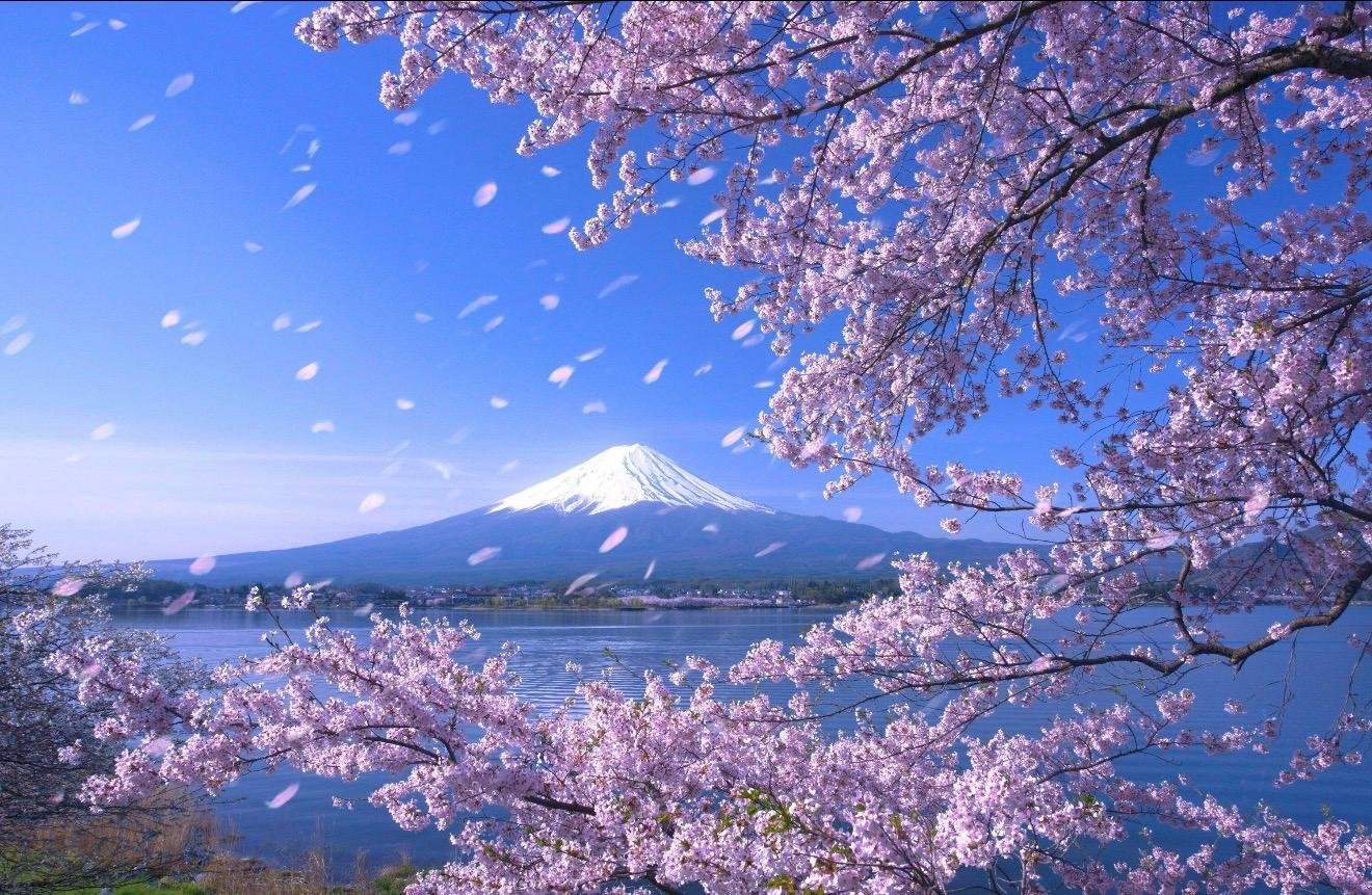 Customizable Mount Fuji Private Day Trip from Tokyo