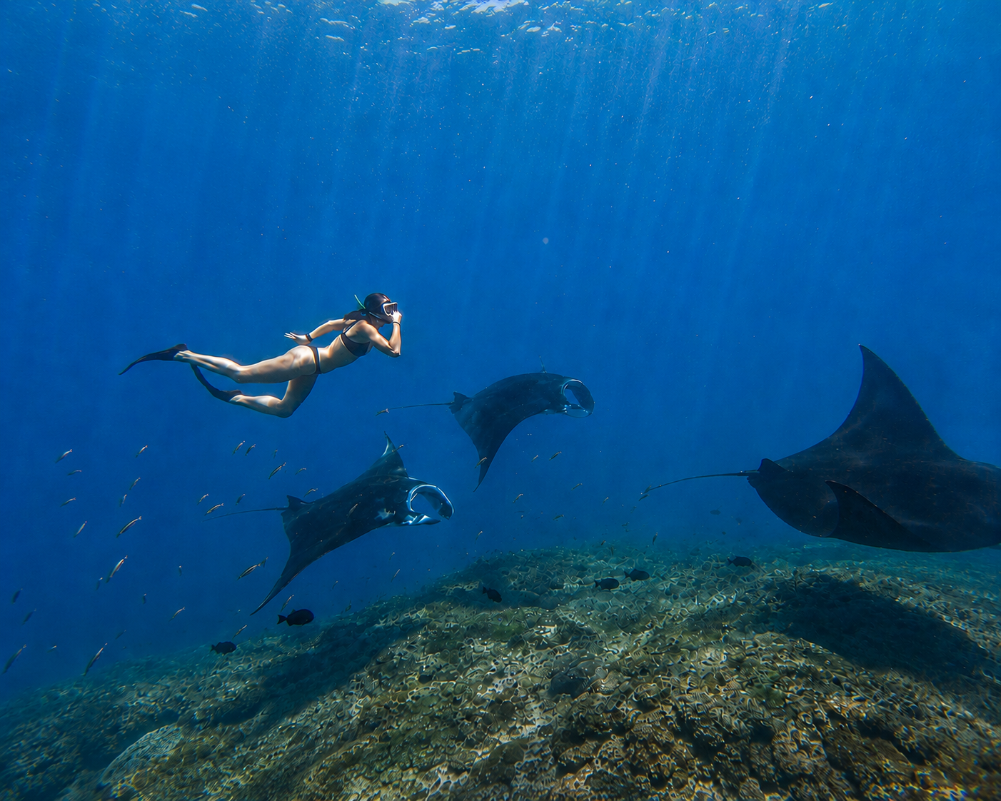 Nusa Penida Private Snorkeling & West Coast Adventure