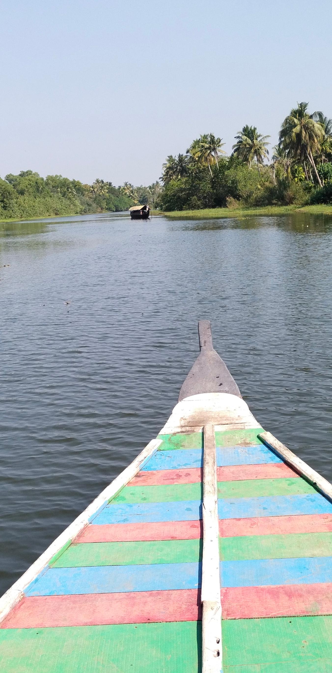 Kochi Backwater Village Immersion with Traditional Sadya Lunch