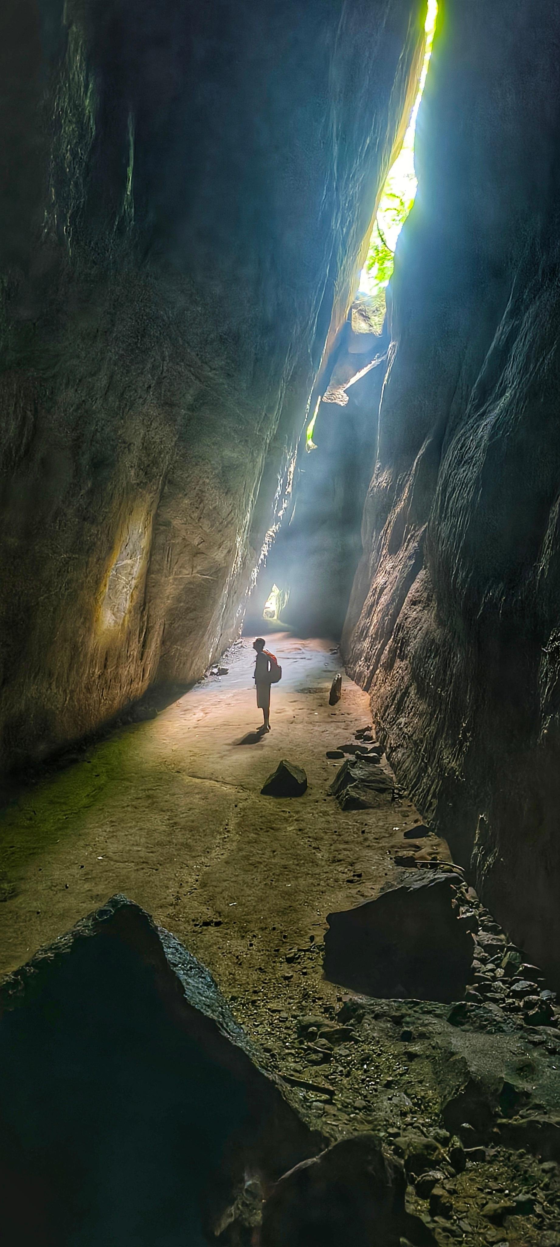 Tijuca Rainforest Hiking Adventure