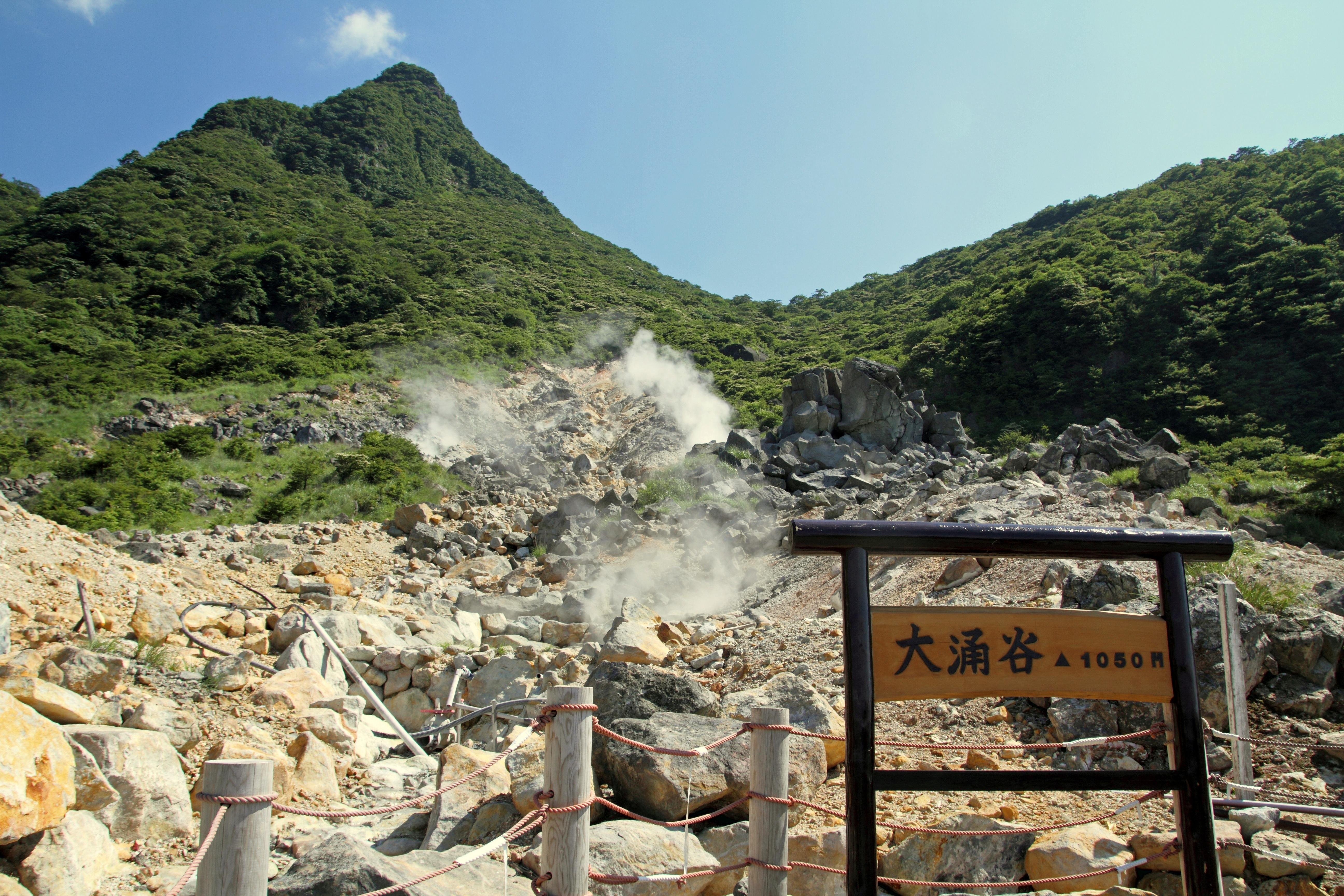 Tokyo Day Trip: Hakone Ropeway, Owakudani & Enoshima Sea-Fuji View