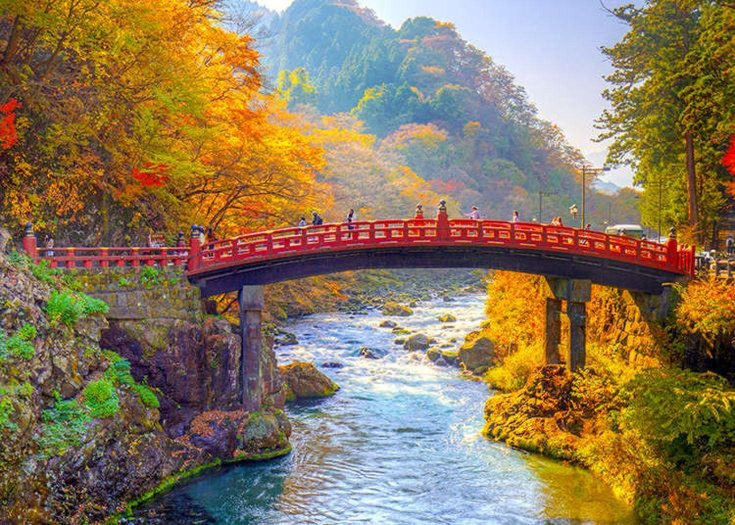 Nikko Private Full-Day Tour with English-Speaking Driver-Guide