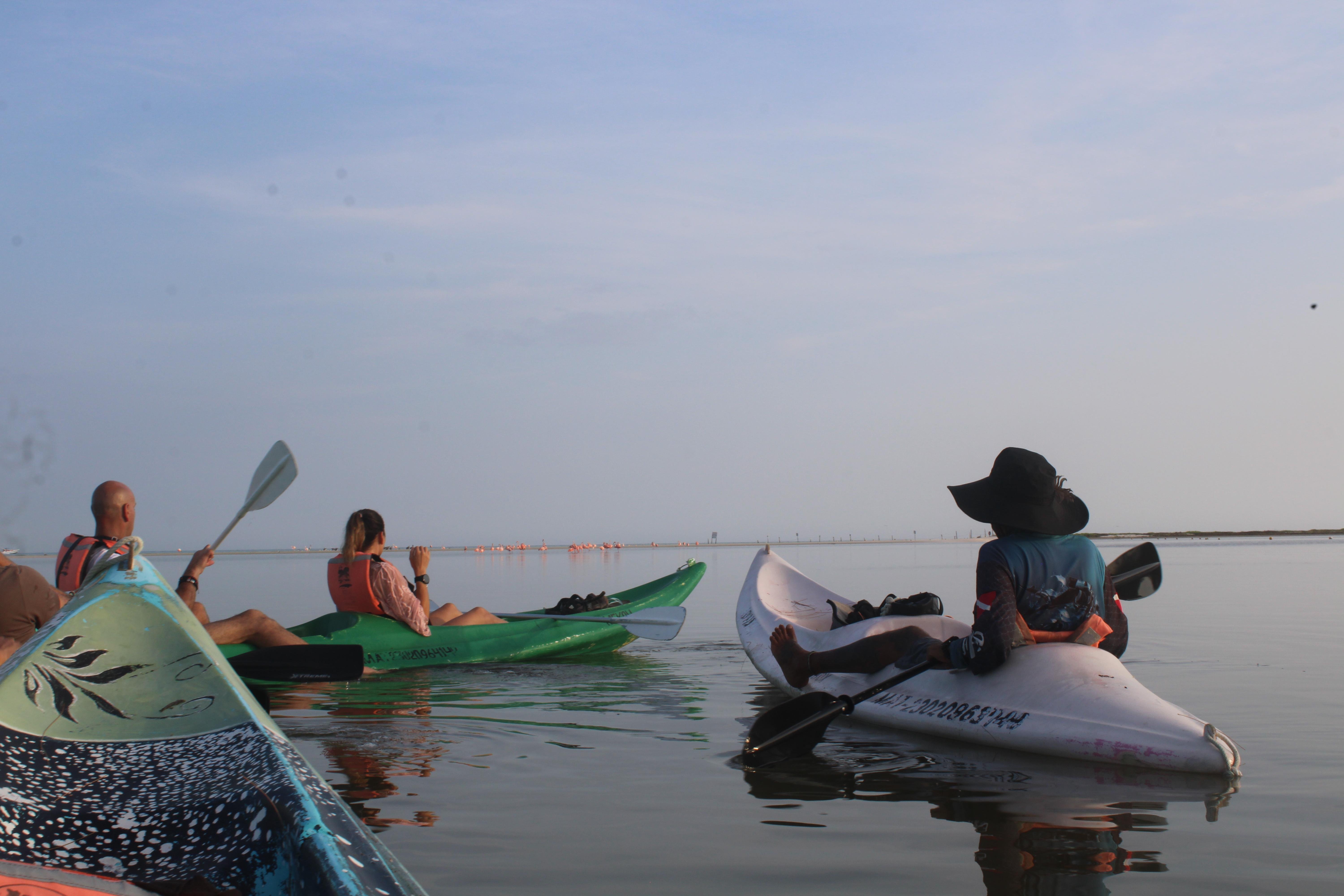 Sunrise Kayak Adventure Through Holbox Mangroves
