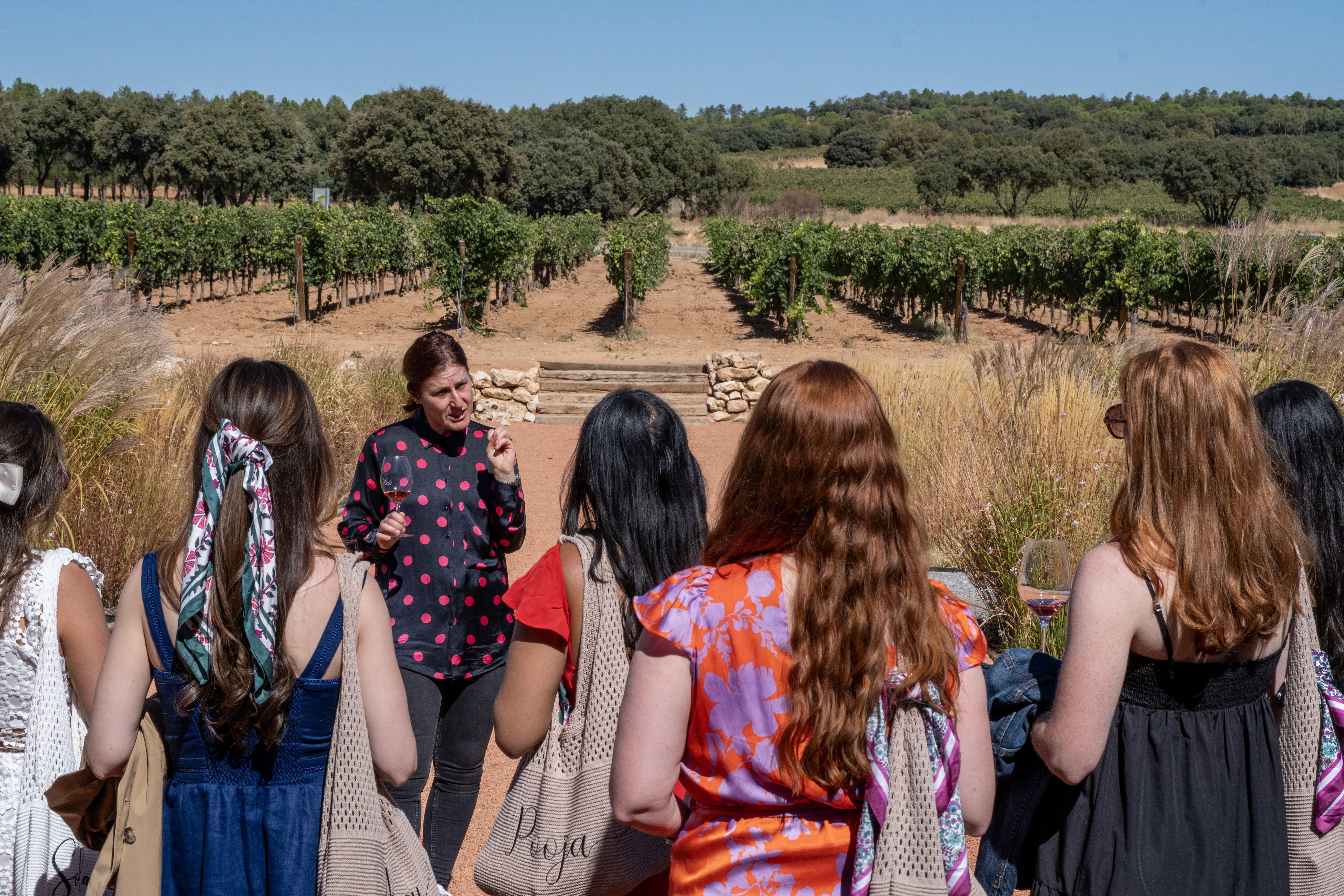 wine tour in Ribera del Duero — photo 5