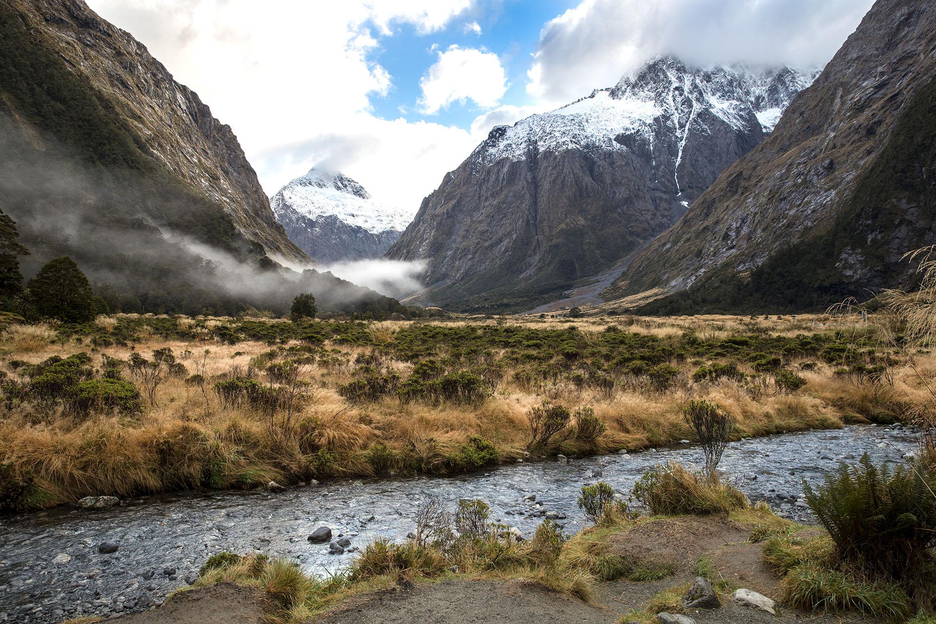 From Queenstown Milford Sound Cruise & Glass-Roof Coach Tour
