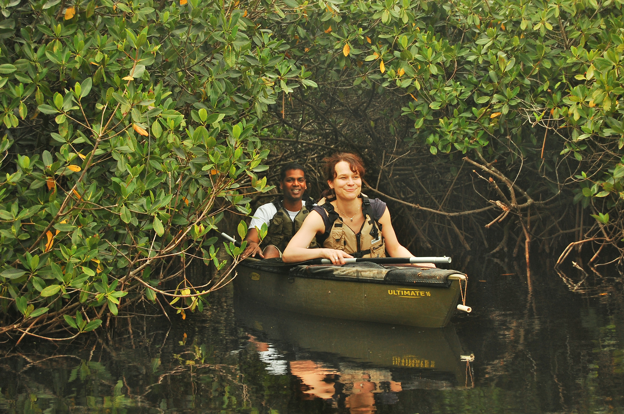 Everglades Mangrove Tunnel Kayaking Eco-Tour