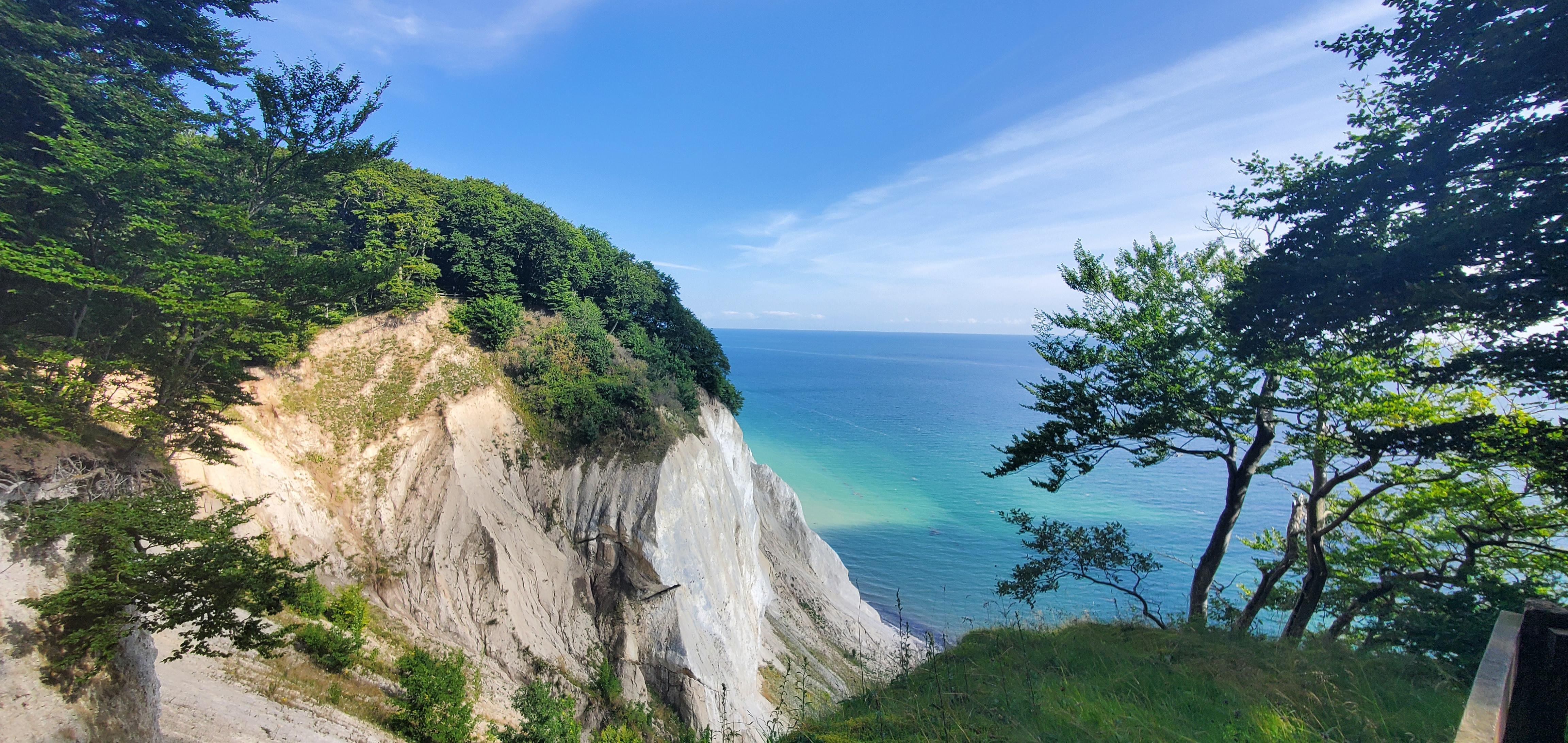 Møns Klint Forest Tower & Fossil Hunt from Copenhagen