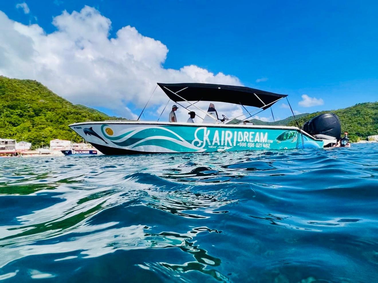 Martinique Speedboat Adventure: Dolphins, Turtles & Marine Life