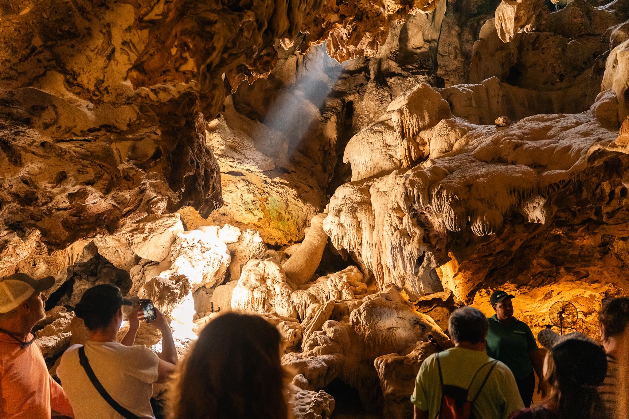 Hato Caves, Flamingos & Beach Half-Day Tour