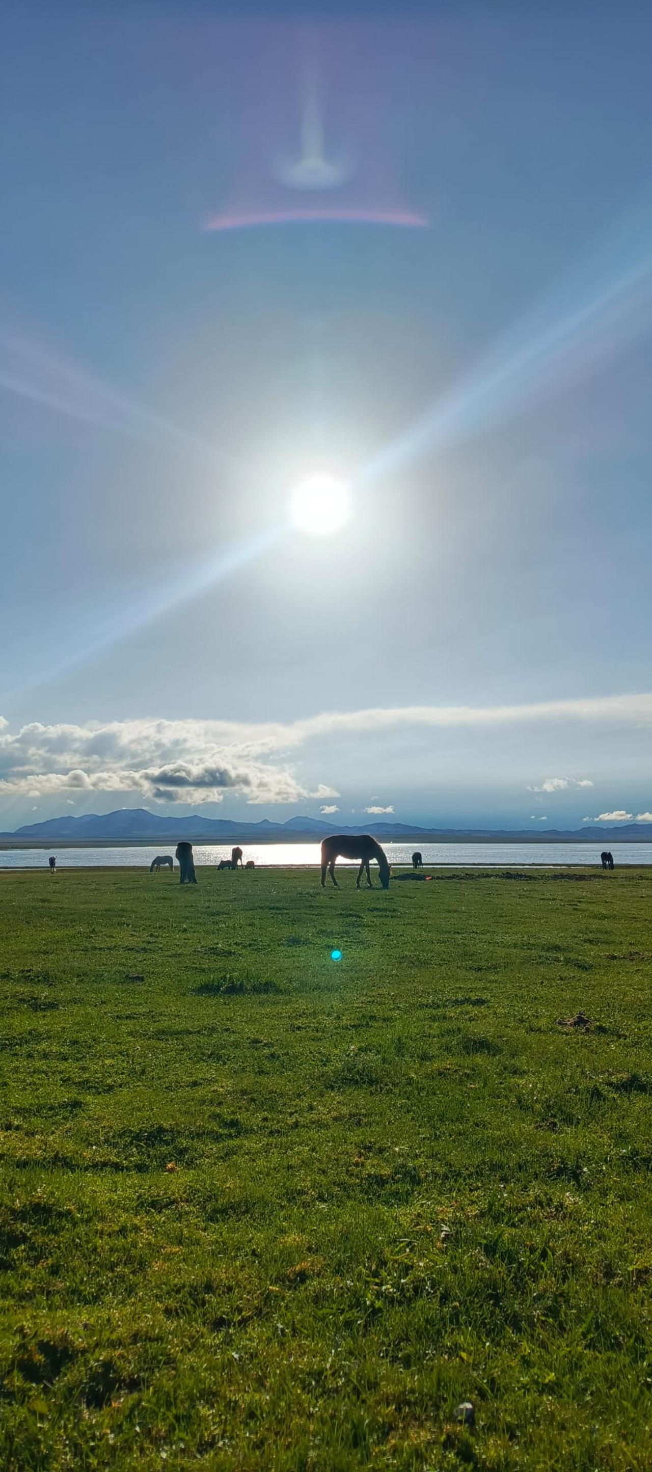 Private 7-Day Kyrgyzstan Horse Trekking Tour from Bishkek