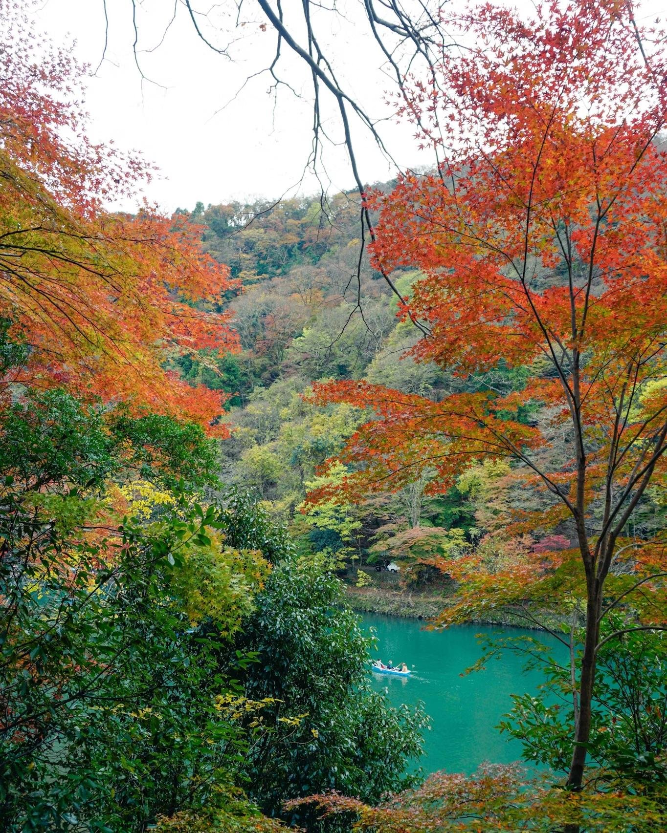 Kyoto Arashiyama Day Tour: Scenic Train, River Boat & Onsen