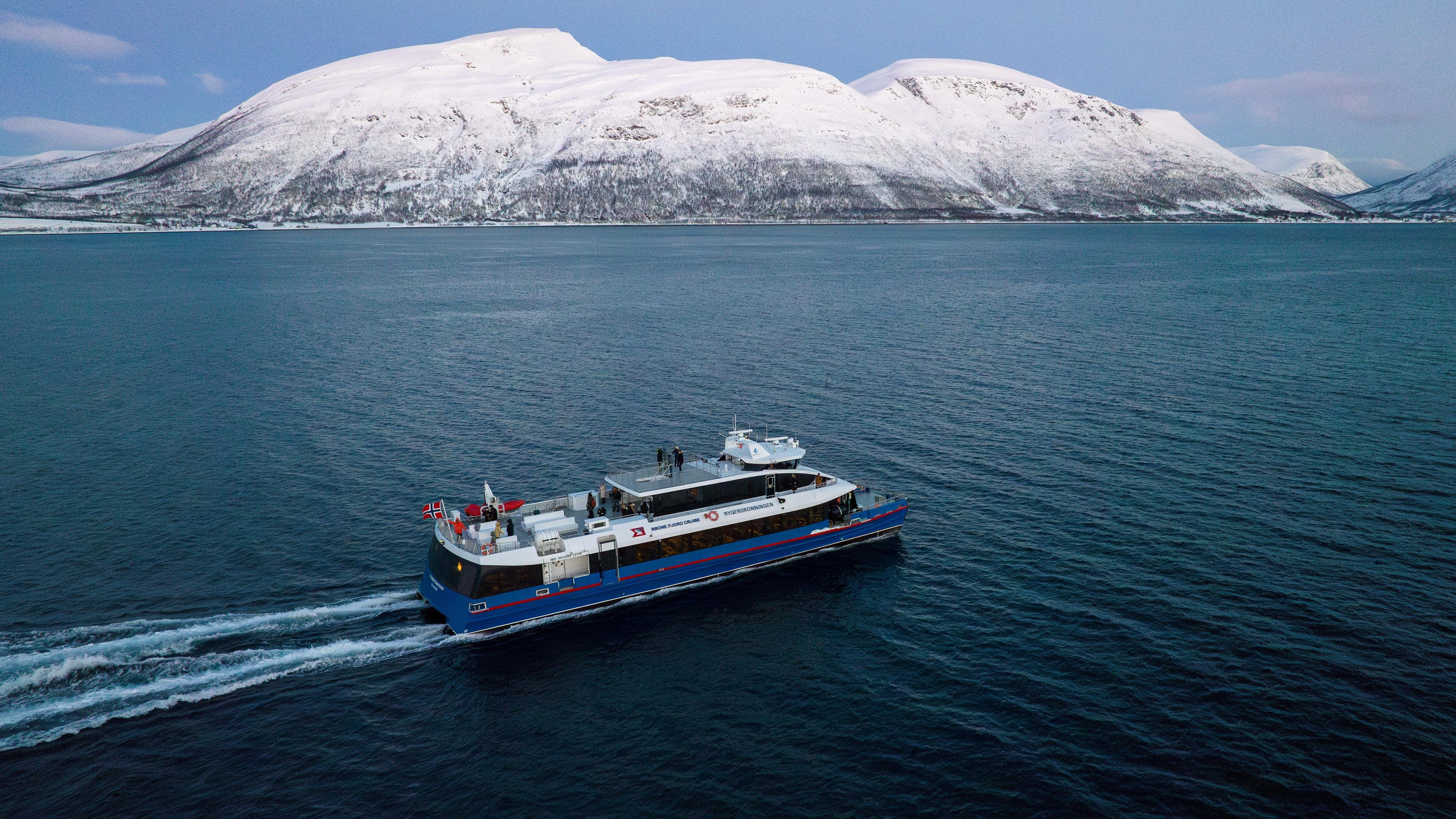 Tromsø: Whale Watching Cruise by High-Speed Catamaran