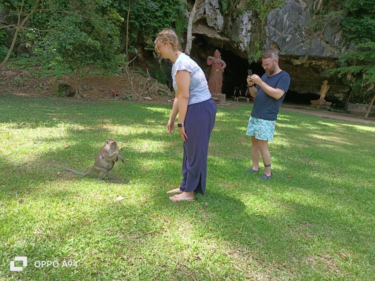 Khao Sok Elephant Rescue & Bamboo River Raft from Krabi