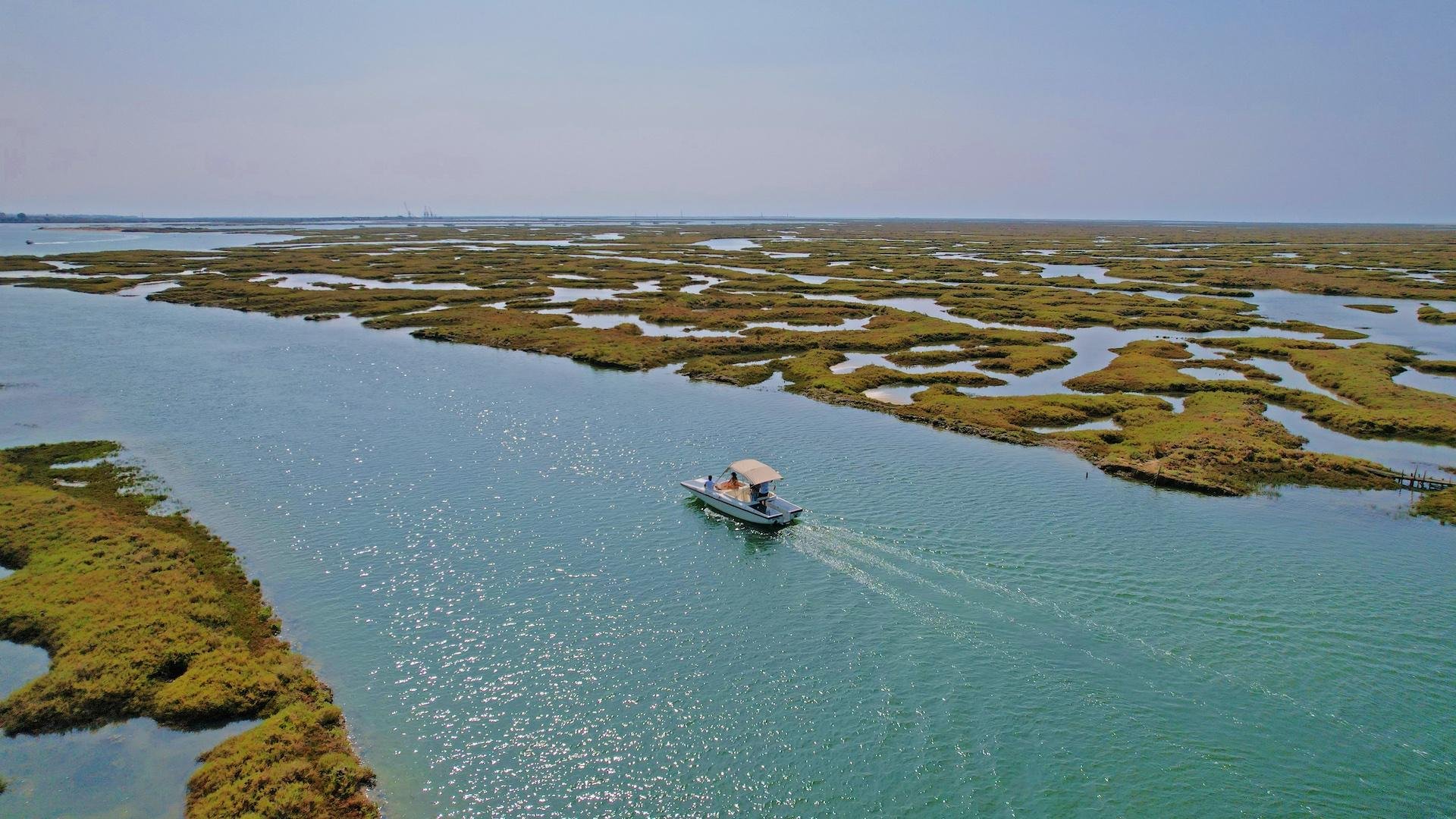 Faro: Ria Formosa Boat Tour by Eco-Friendly Solar Boat