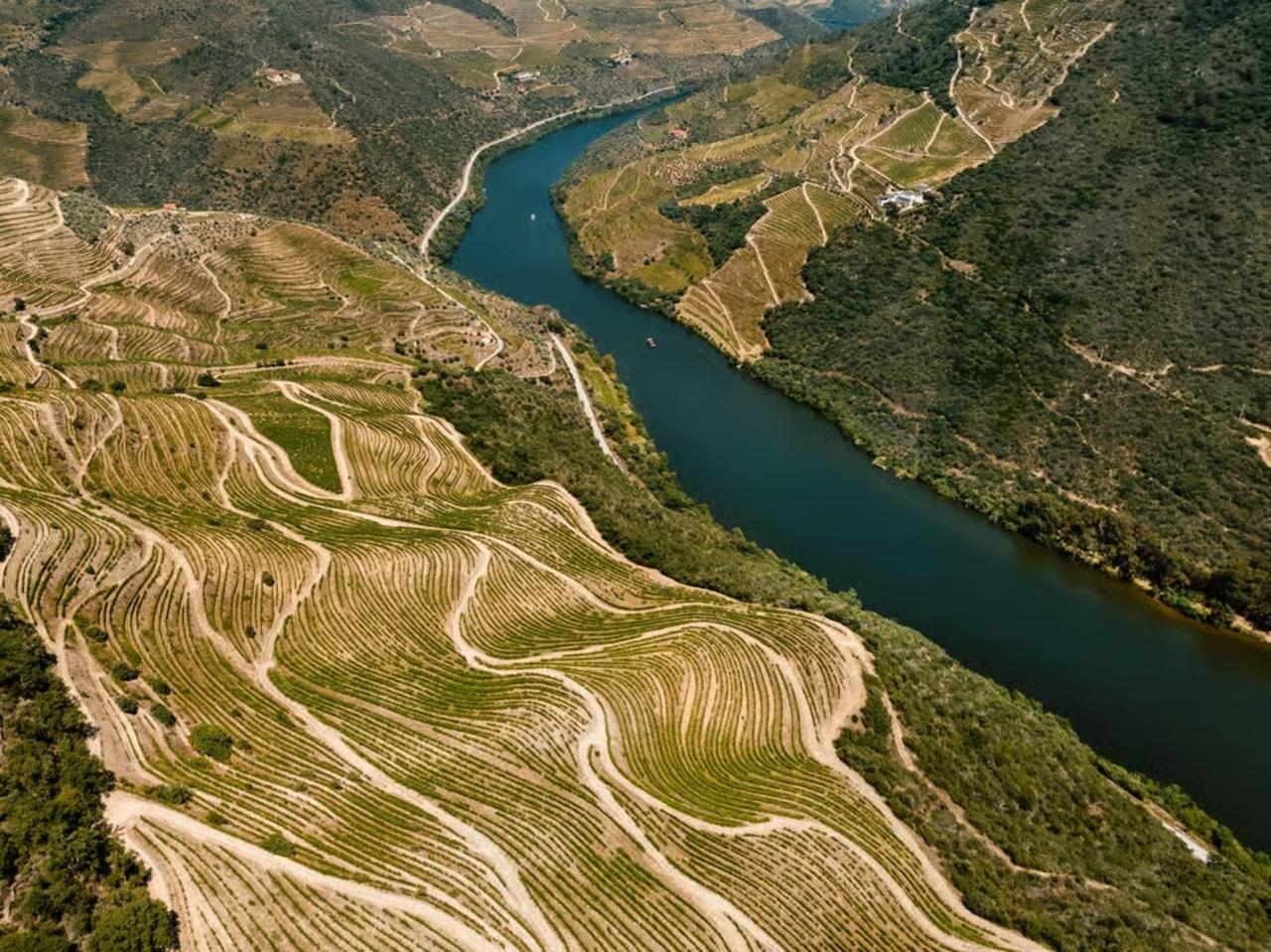 Douro Valley Day Trip: River Cruise, Scenic Train & Wine Tasting