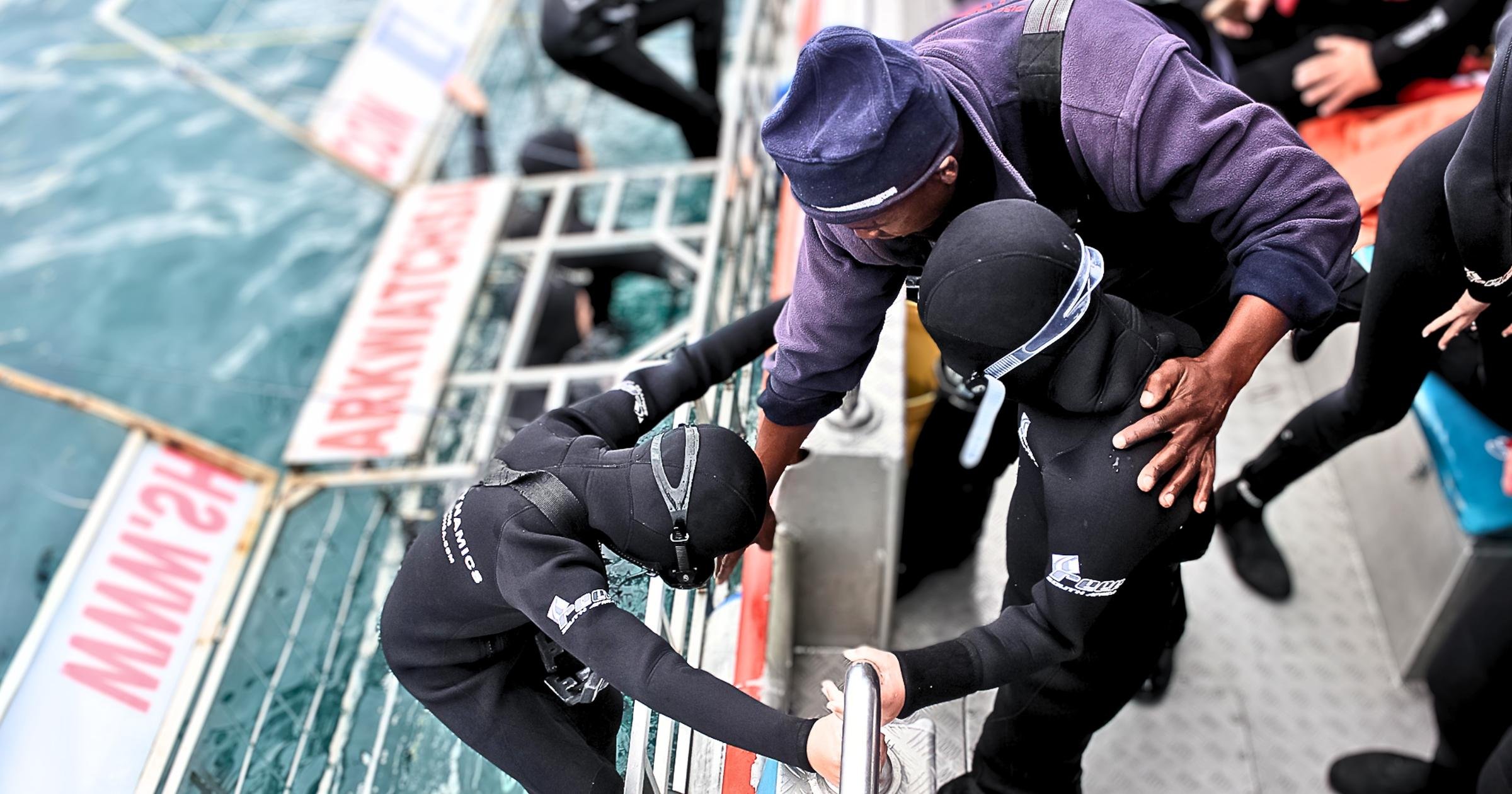 Gansbaai Eco Shark Cage Diving from Cape Town