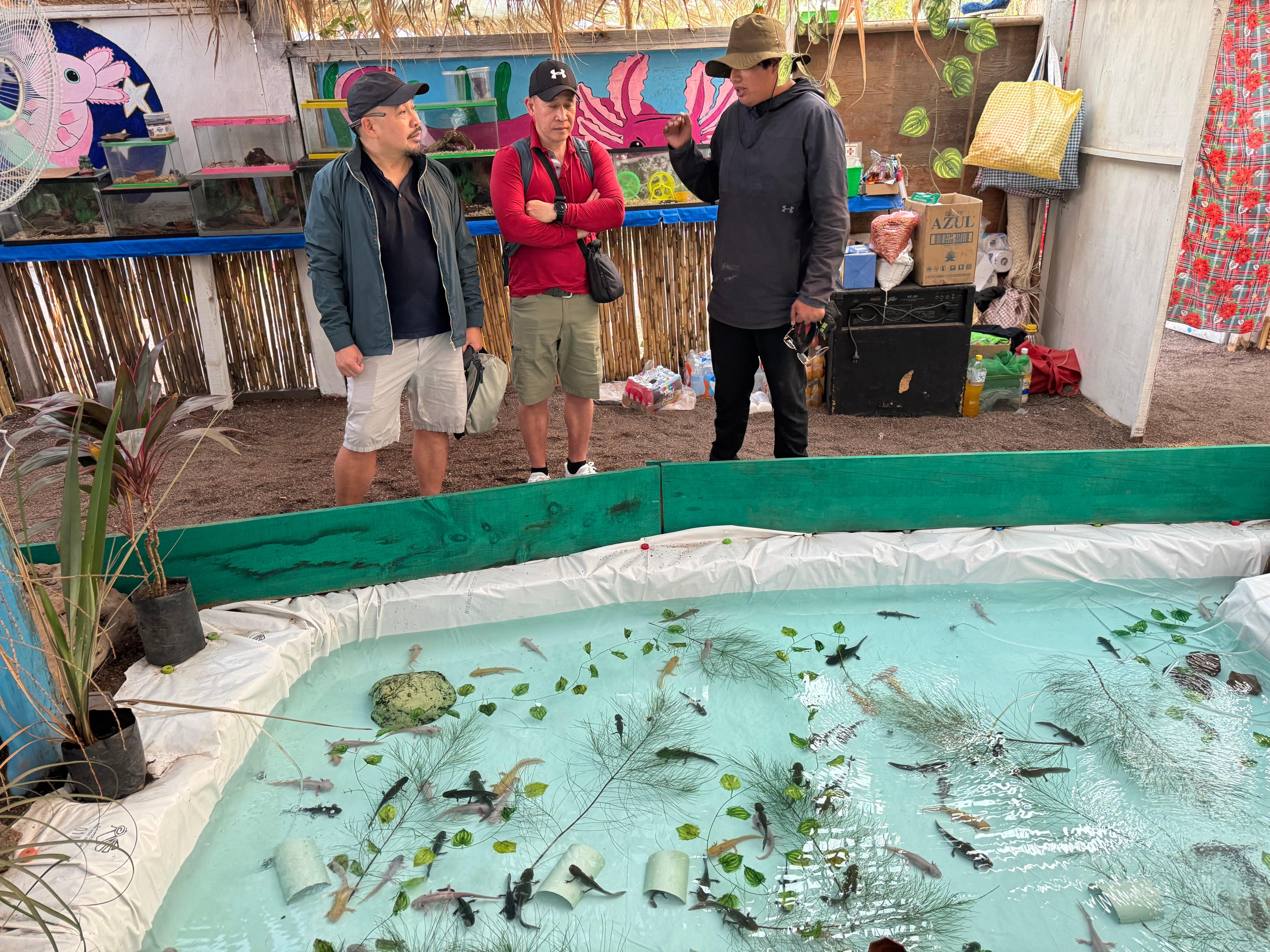 Xochimilco Axolotl Refuge & Canal Expedition