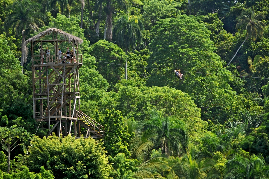 Punta Cana Jungle Zip-Line Adventure – 12 Cables