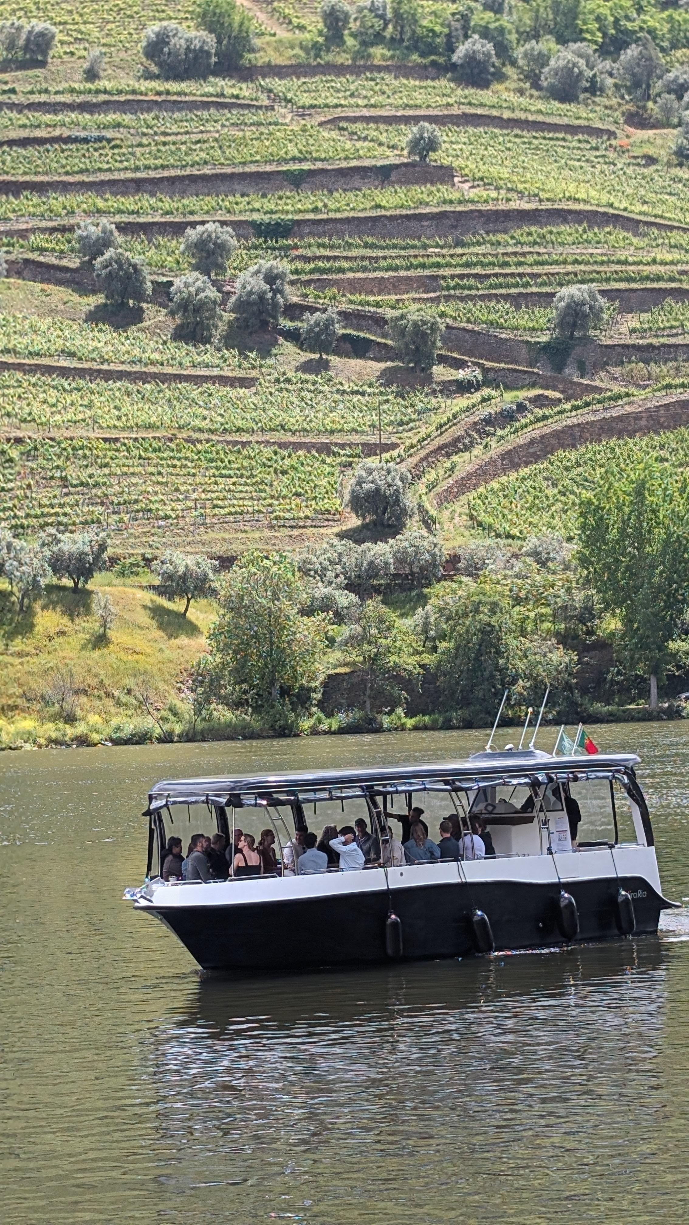 Porto: Douro Valley & Vinho Verde Day Tour with Tastings, Lunch & Boat Cruise