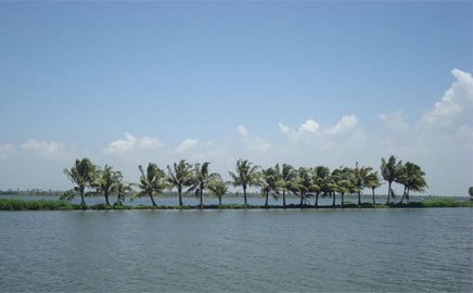 Private Alleppey Houseboat Day Cruise from Cochin