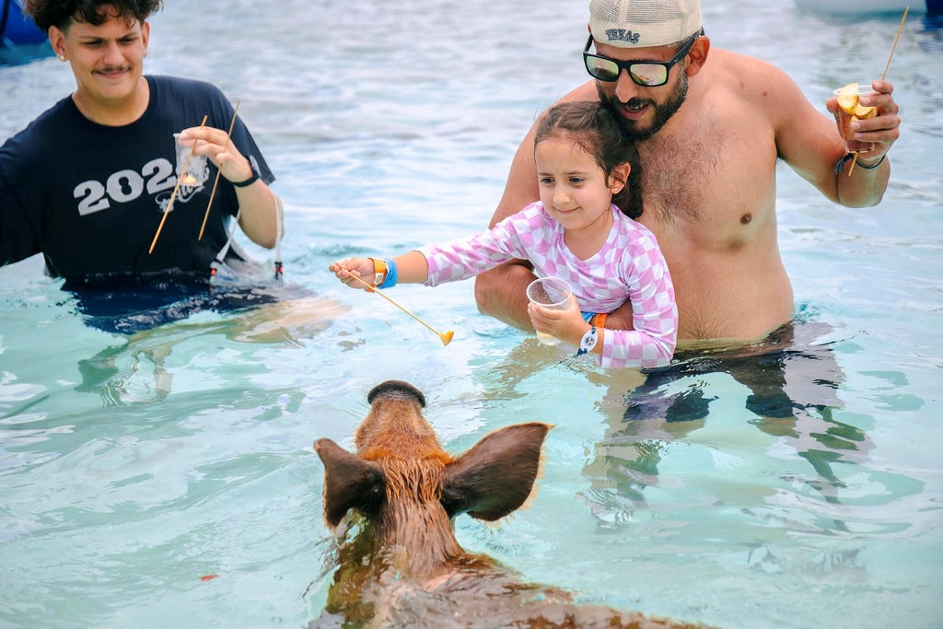 Rose Island Swimming Pigs Express from Nassau