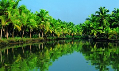 Private Alleppey Houseboat Day Cruise from Cochin