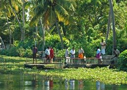 Private Alleppey Houseboat Day Cruise from Cochin