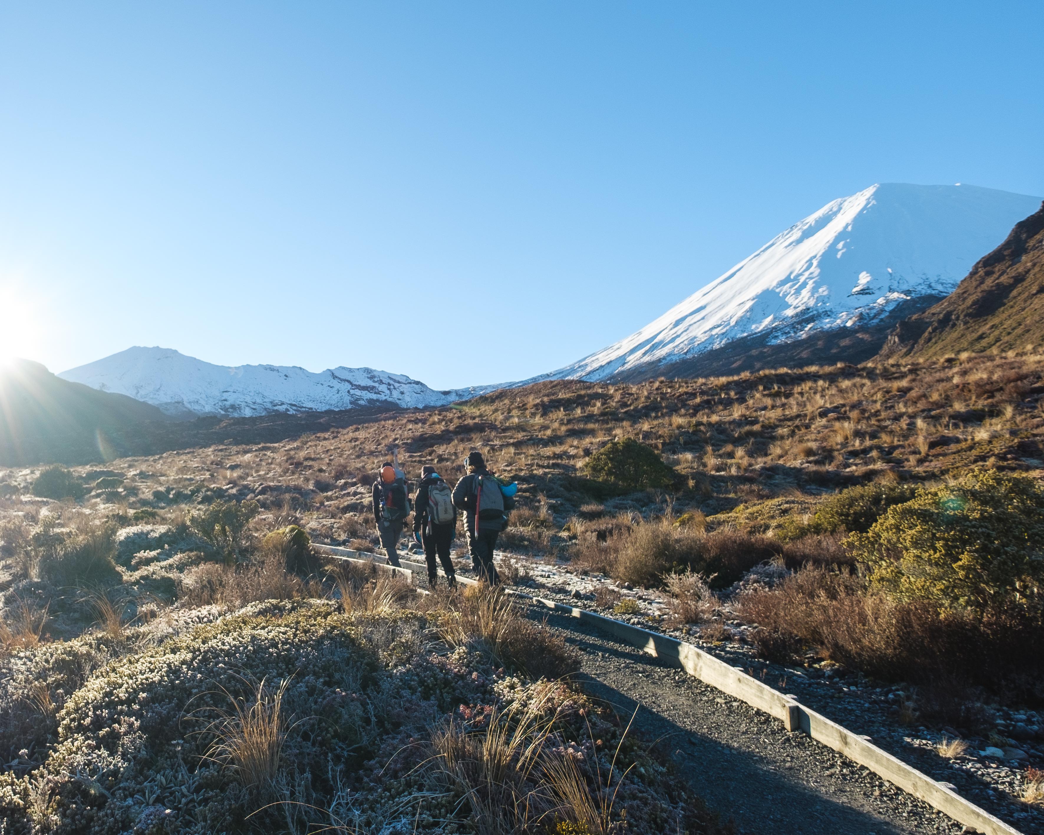 Tongariro Alpine Crossing Half Day Guided Walk