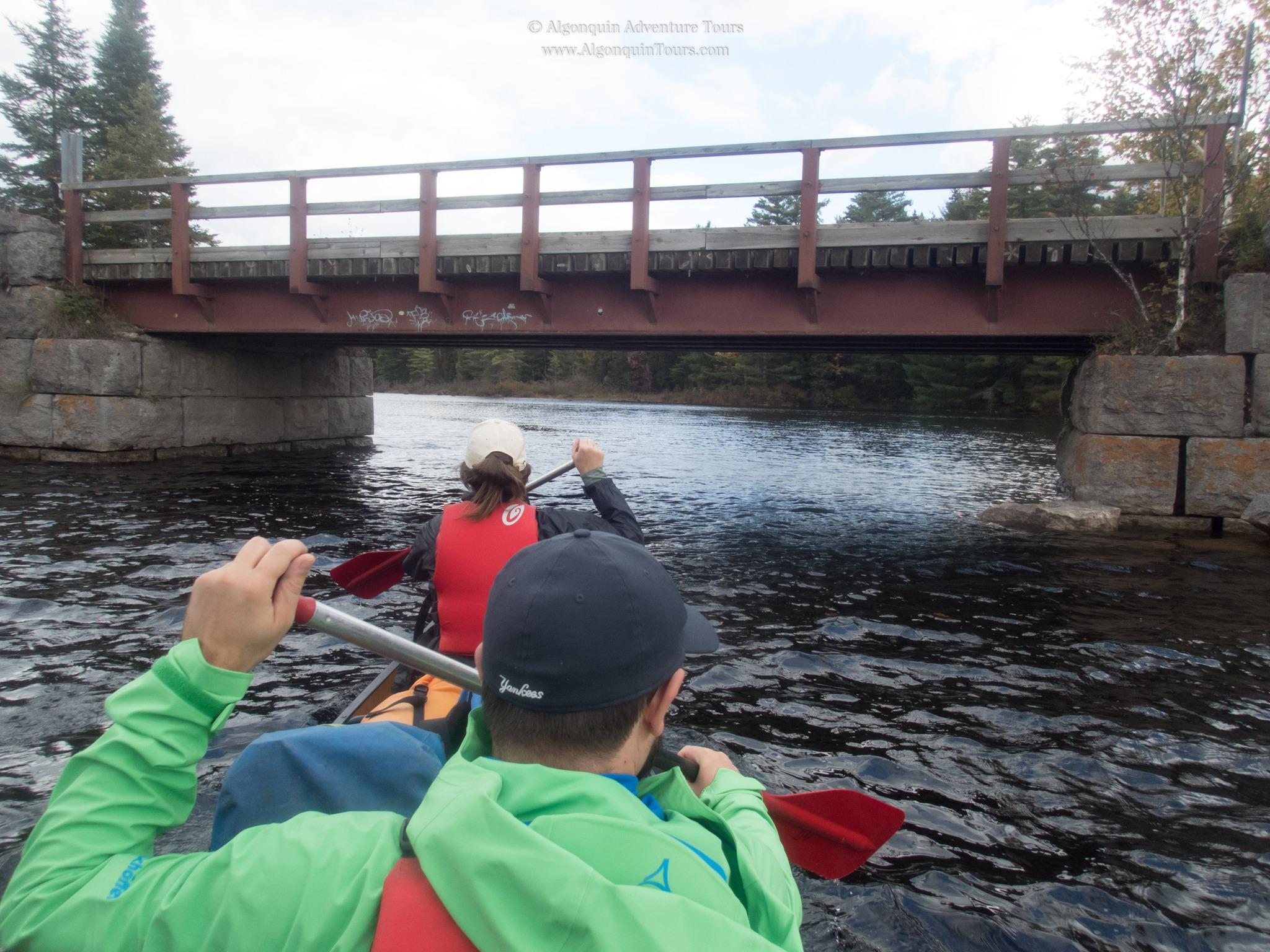 Algonquin Park: Canoe Camping Safari