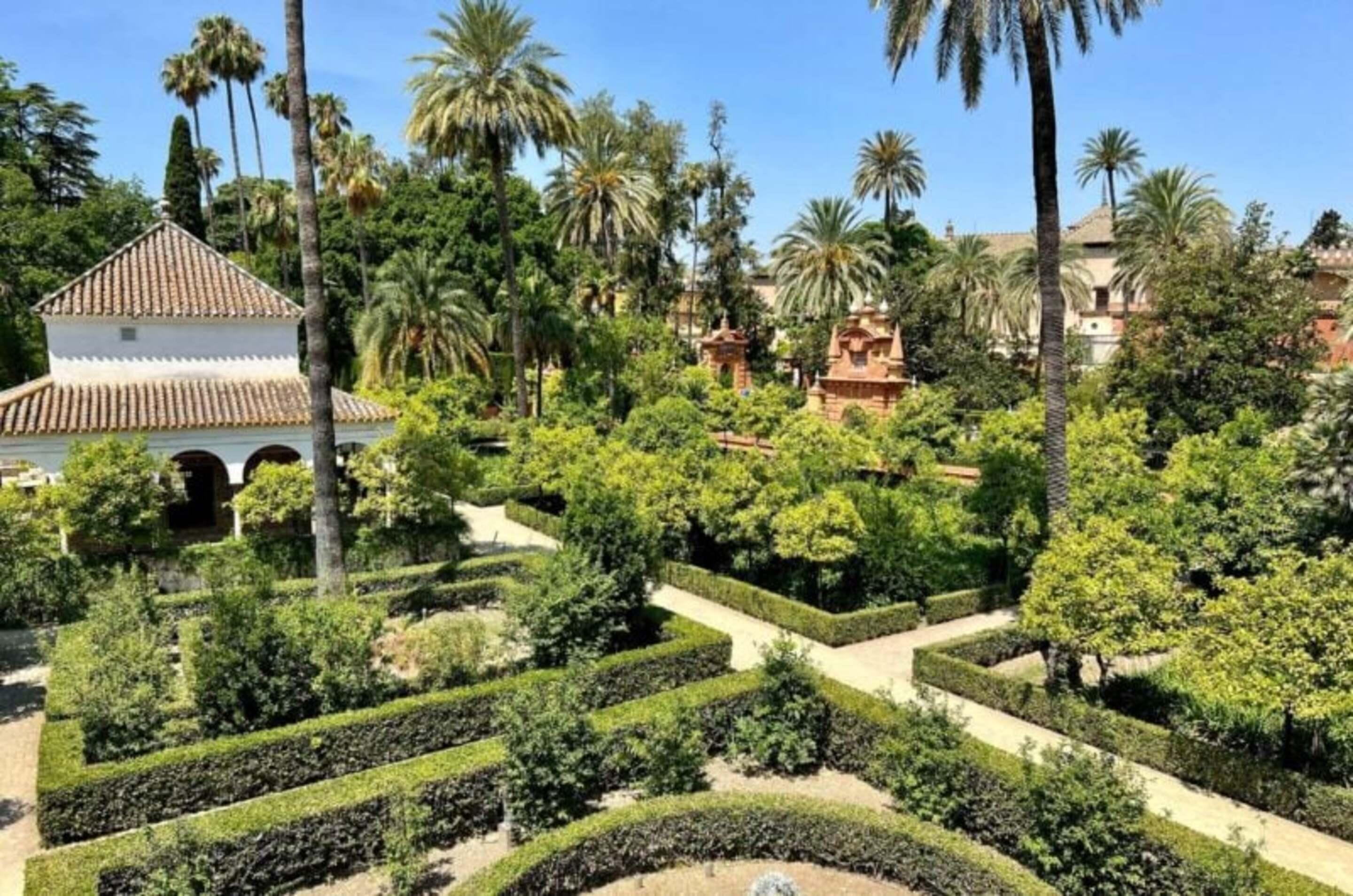Private Seville Family Discovery Tour & Alcázar Visit