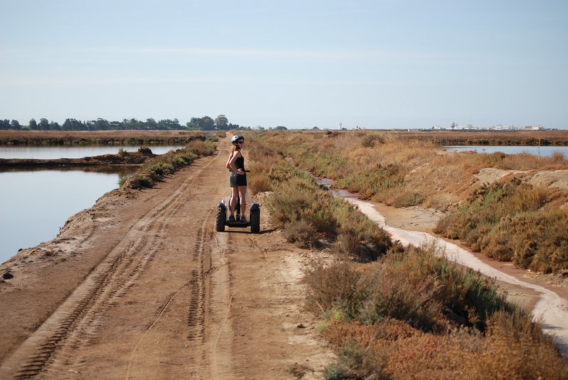 Faro: Ria Formosa Natural Park Segway Tour & Birdwatching