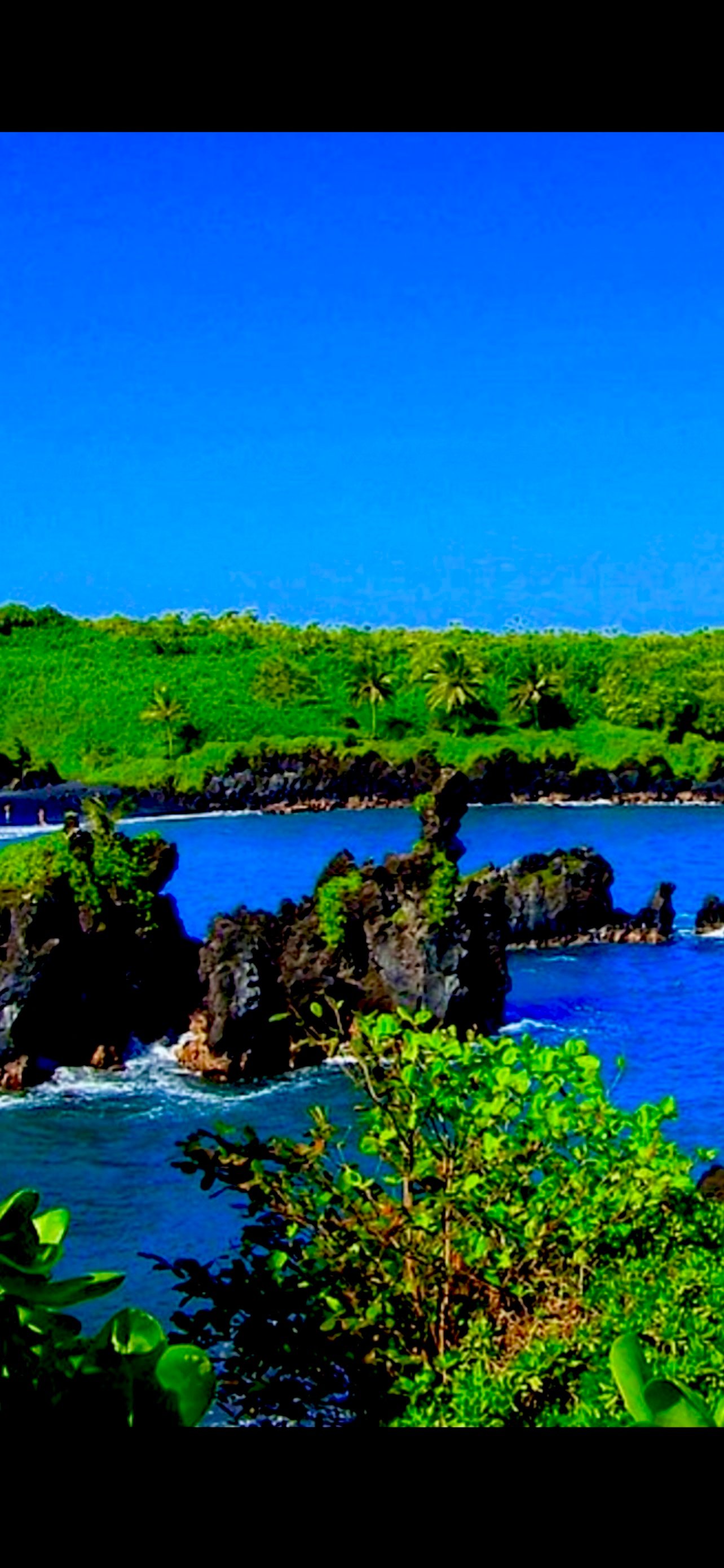 Maui: Small-Group Road to Hāna Sightseeing Tour - 2026 (Verified Reviews)