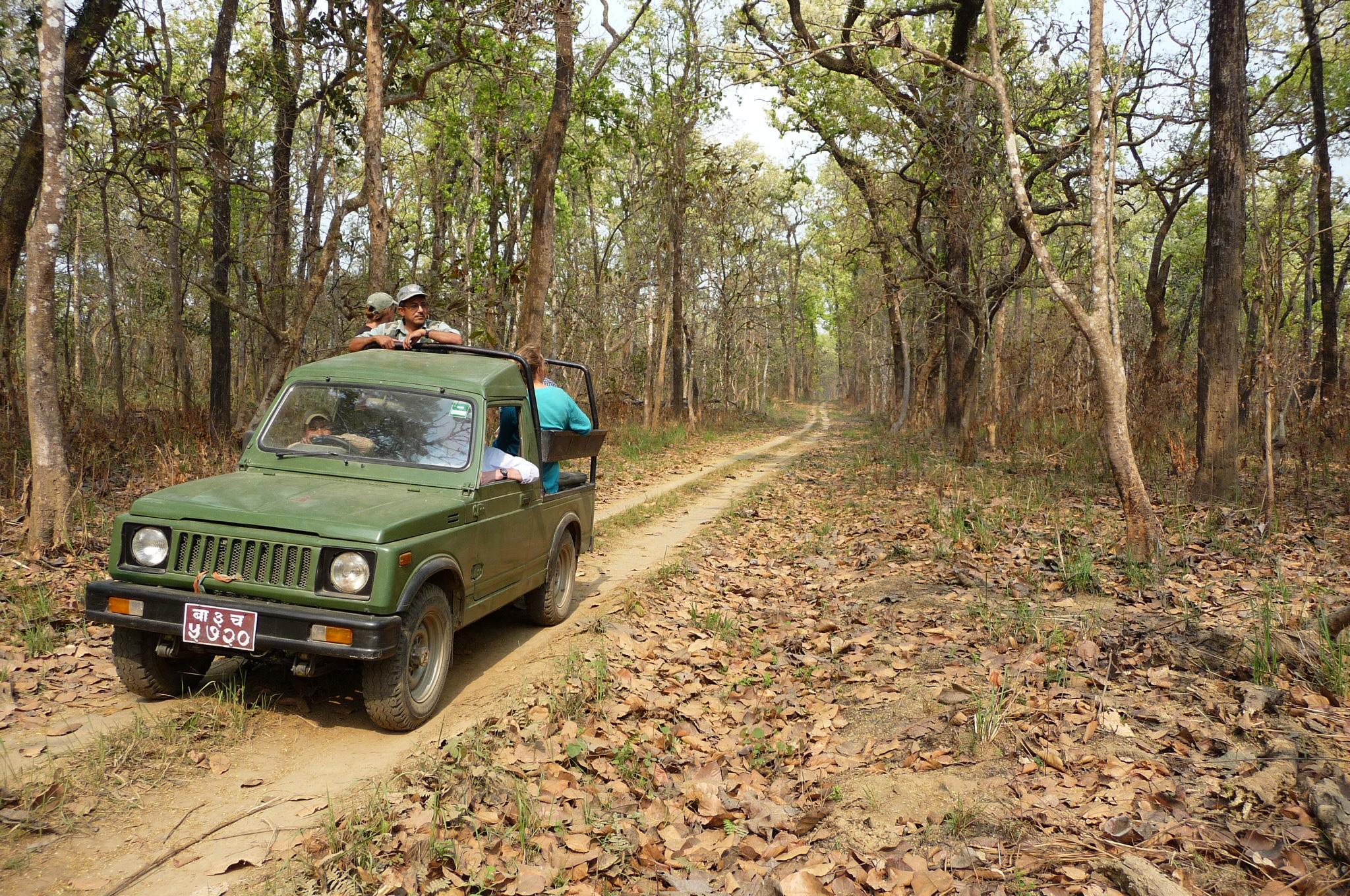 3-Day All-Inclusive Chitwan National Park Safari
