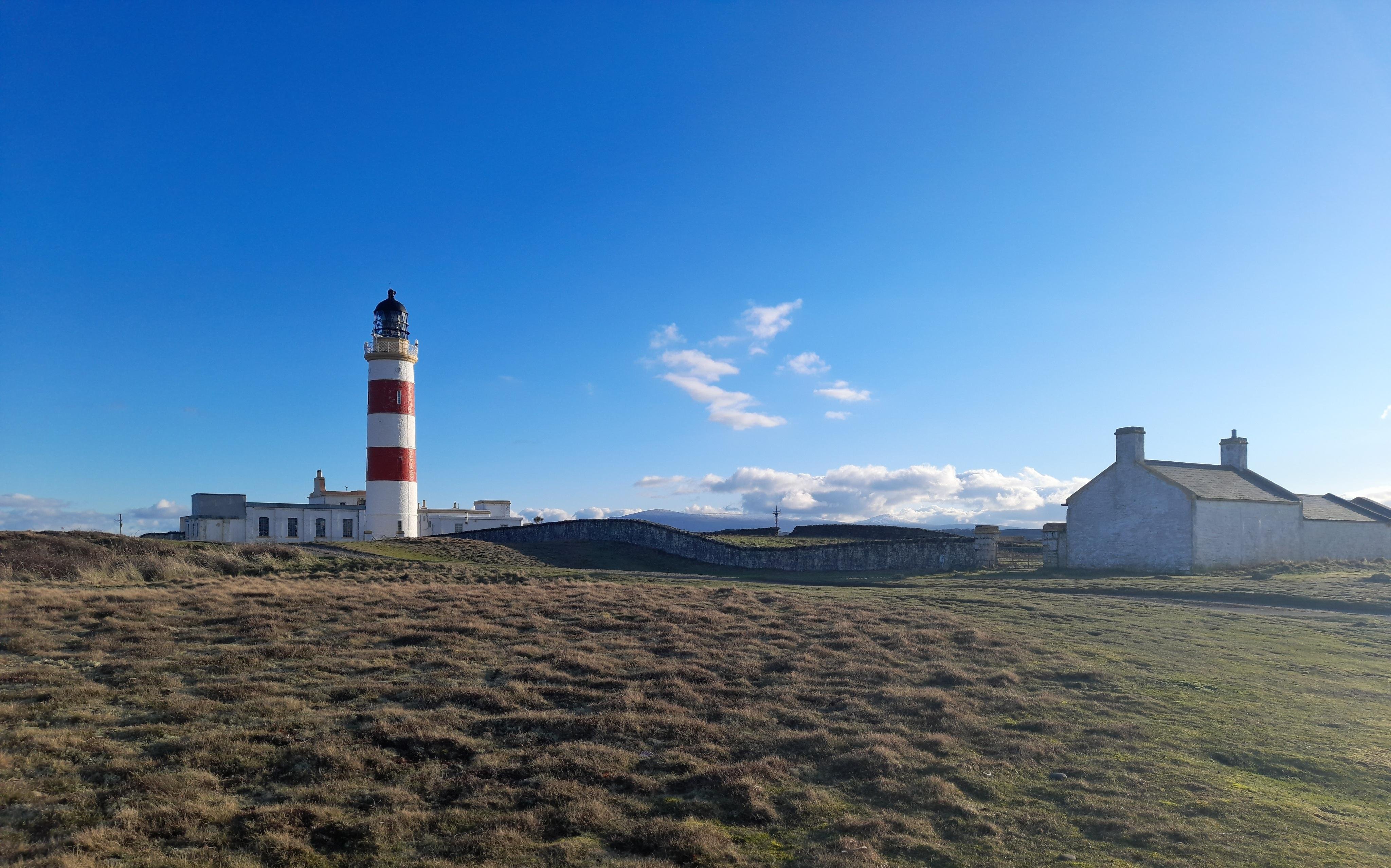 Half-Day Wildlife Discovery Tour of Isle of Man