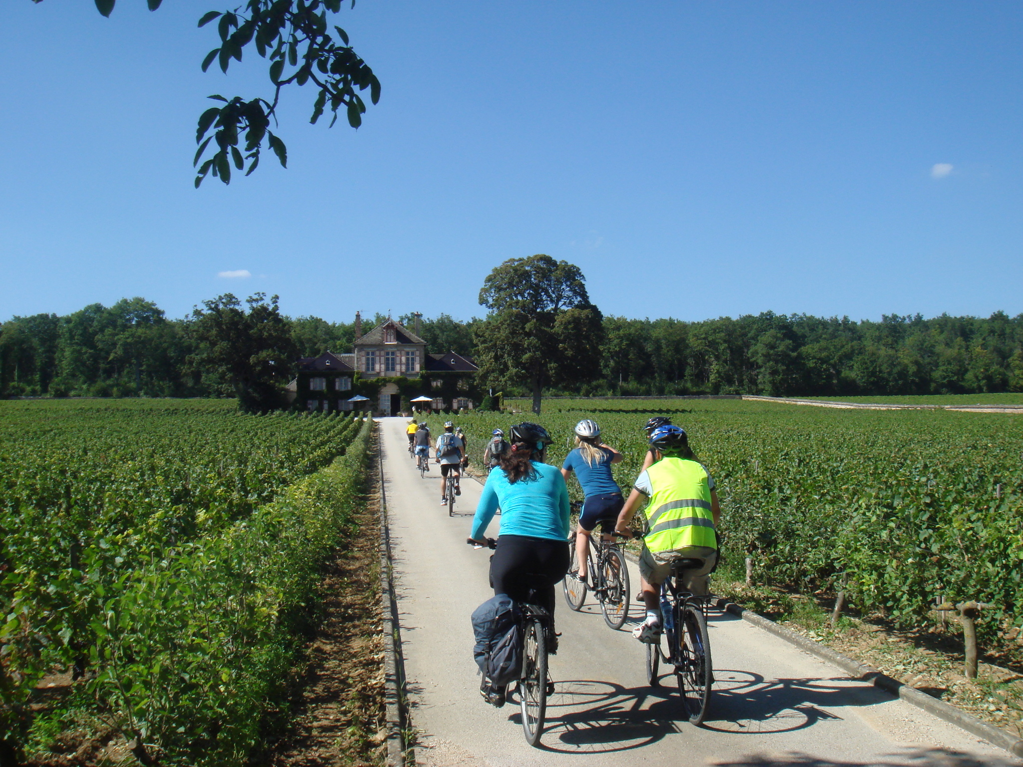 Burgundy Vineyard Cycling & Wine Tasting Day Trip