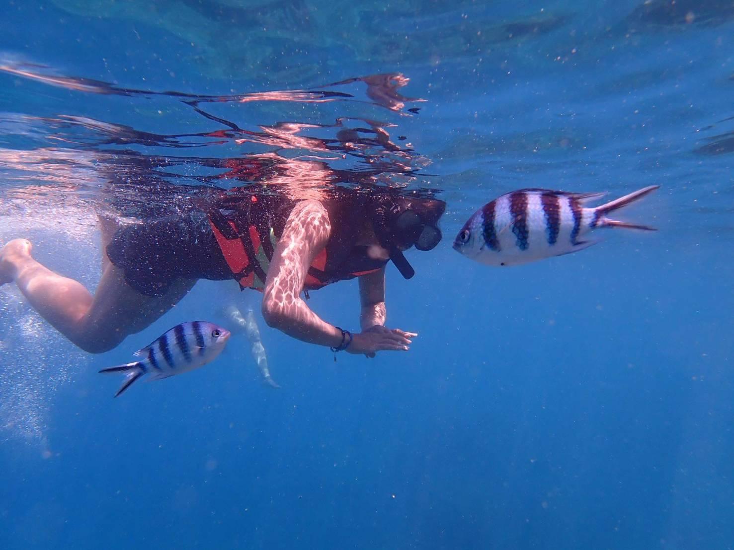 Speedboat Snorkel Expedition to Koh Tao & Koh Nang Yuan