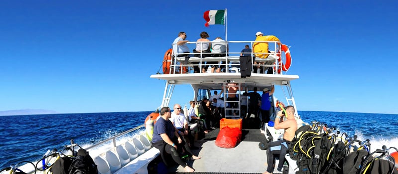 Los Cabos Certified Scuba Diving – Twin-Tank Adventure in the Sea of Cortez