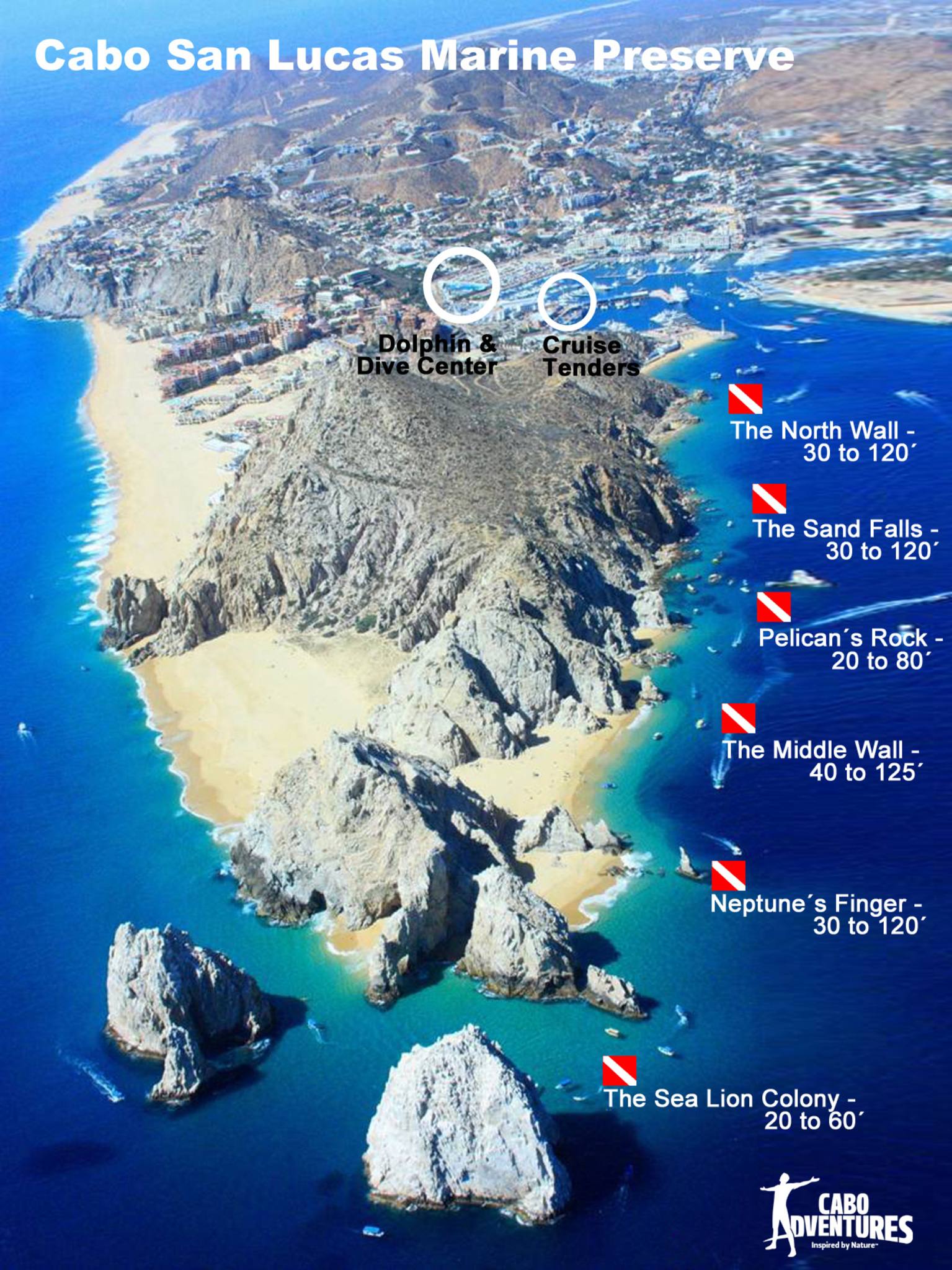 Los Cabos Certified Scuba Diving – Twin-Tank Adventure in the Sea of Cortez