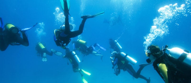 Los Cabos Certified Scuba Diving – Twin-Tank Adventure in the Sea of Cortez