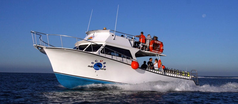 Los Cabos Introductory Scuba Diving Adventure in the Sea of Cortez