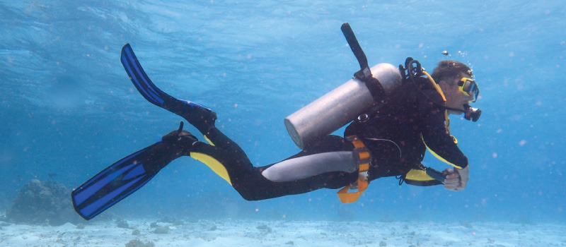 Los Cabos Introductory Scuba Diving Adventure in the Sea of Cortez