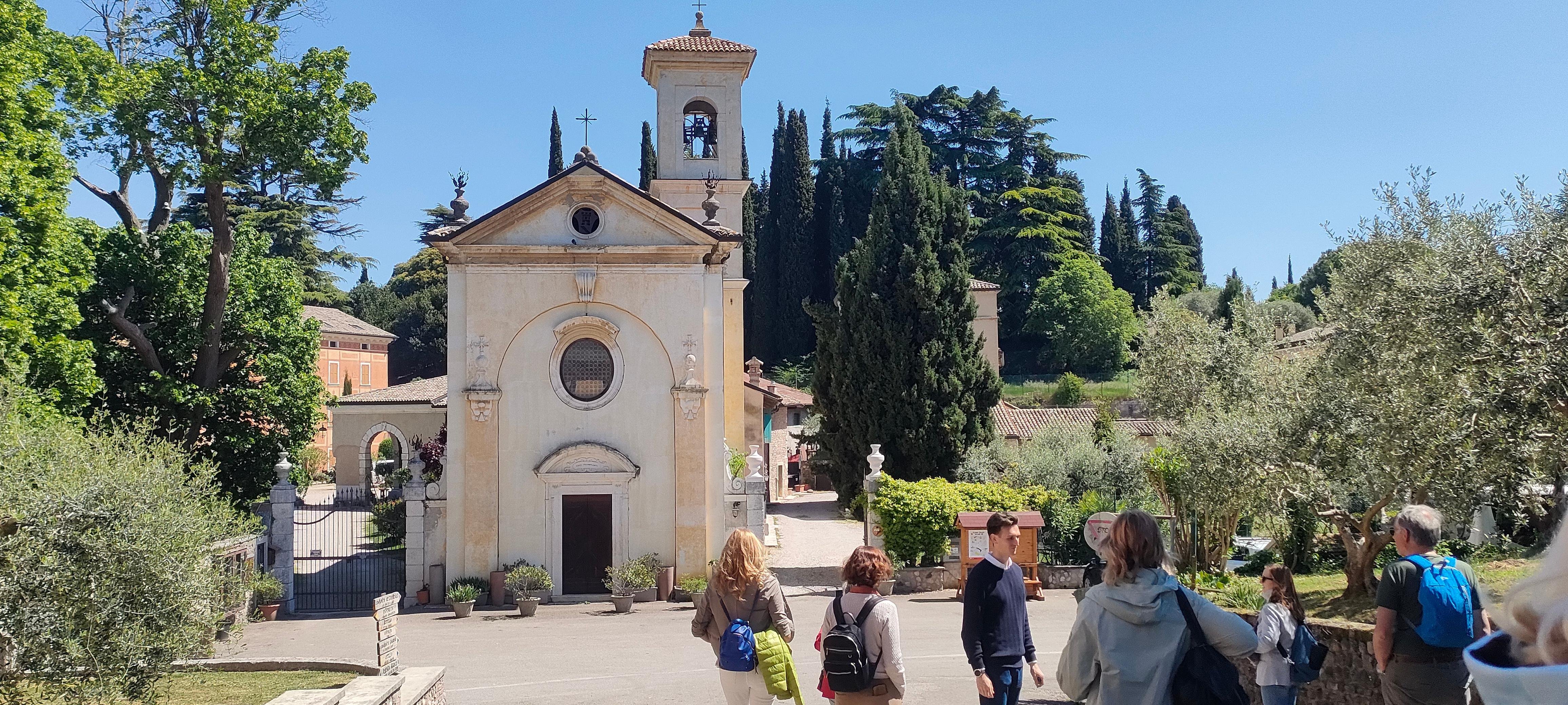 Bardolino: Vineyard tour and 5 Wine tasting on the hills