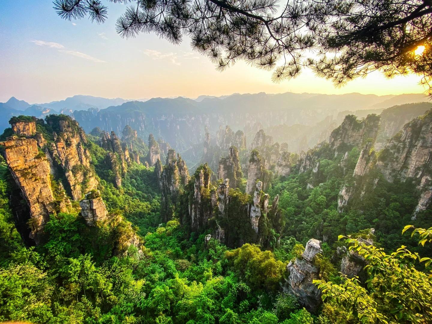 Zhangjiajie 1–2 Day Group Tour: Avatar Mountains, Glass Bridge & Tianmen