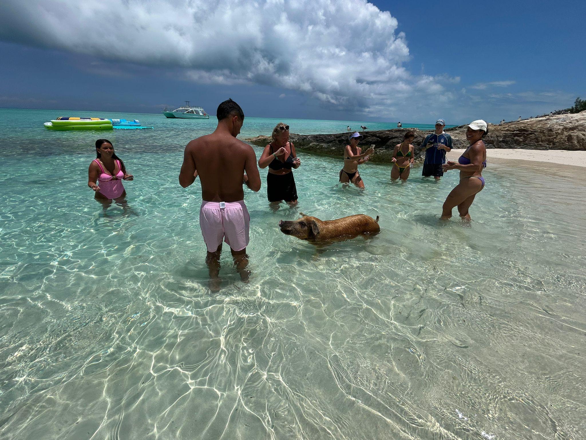 Nassau 3-Island Speedboat Adventure: Pigs, Turtles & Snorkeling