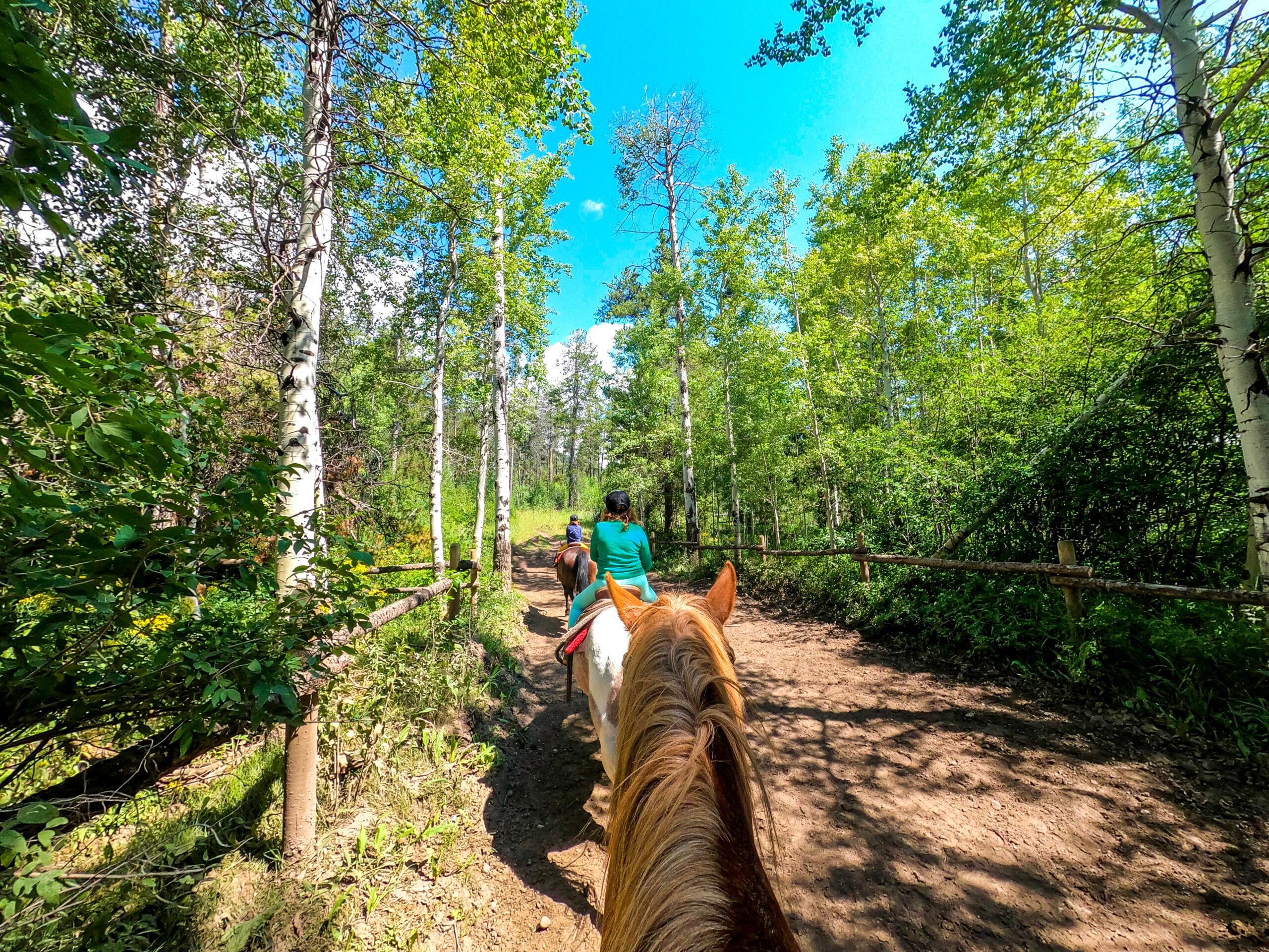 Bair Ranch Horseback Riding in Glenwood Canyon