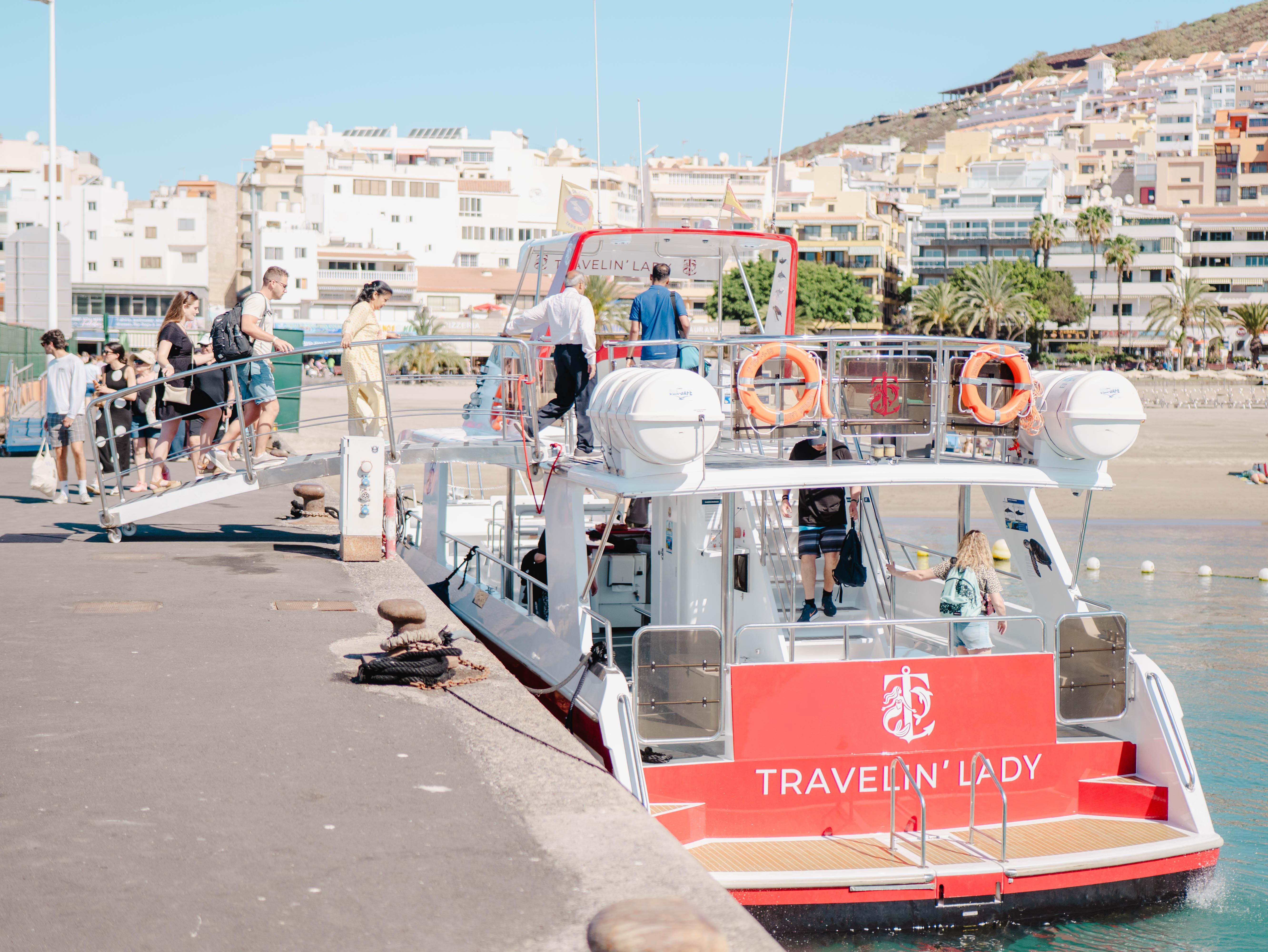 Tenerife Eco-Yacht Whale & Dolphin Watching Cruise