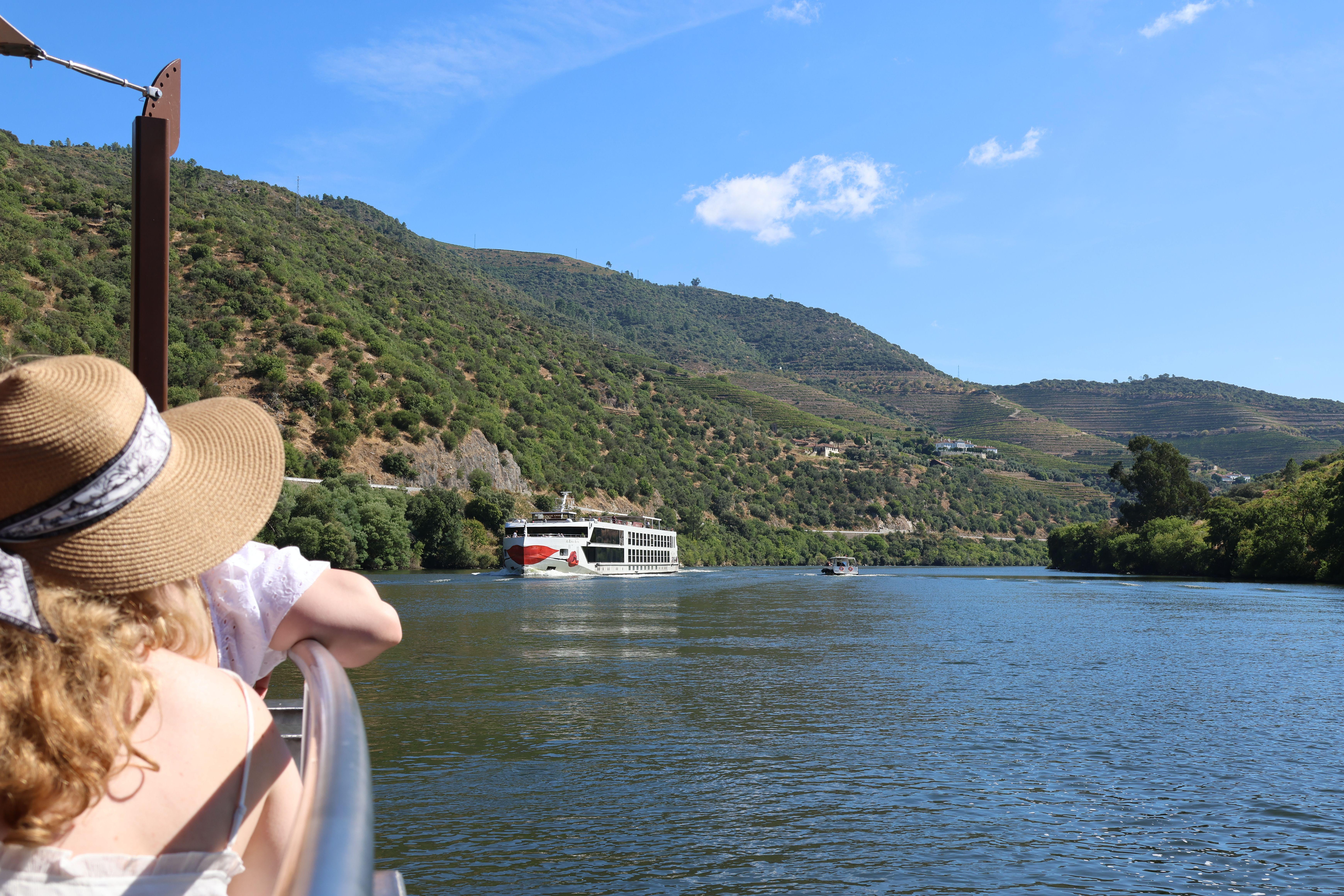 Douro Valley Wine & Cruise Day Trip from Porto